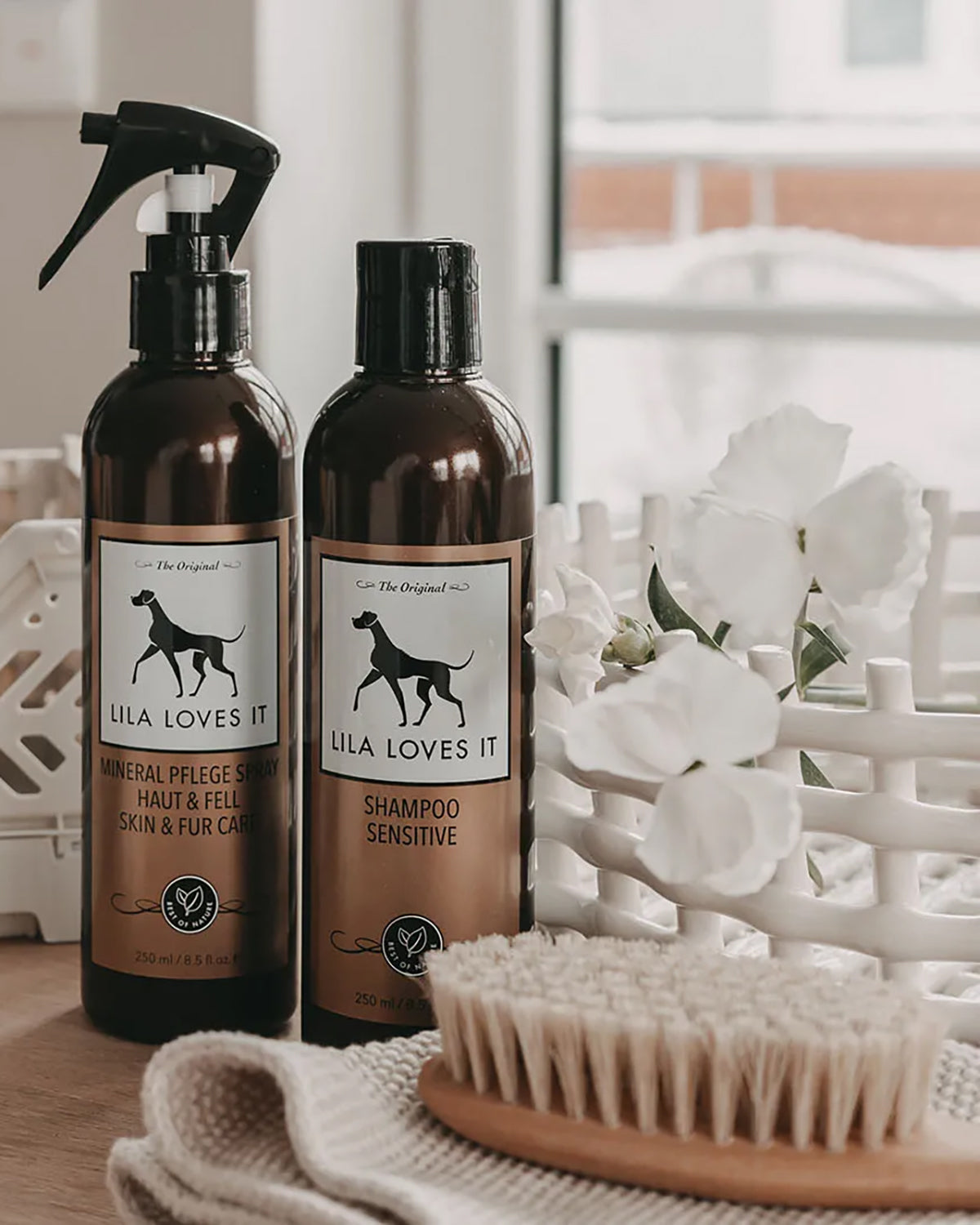 PUPPY DOG BRUSH | מברשת לגורים