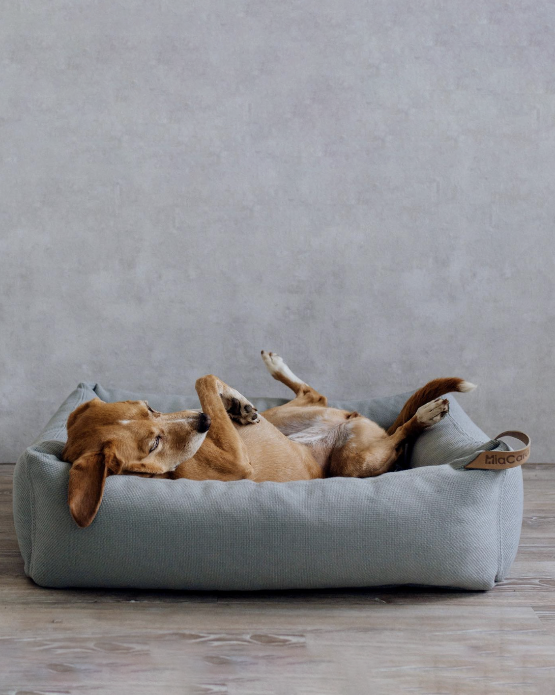 SONNO DOG BOX BED | מיטה לכלב