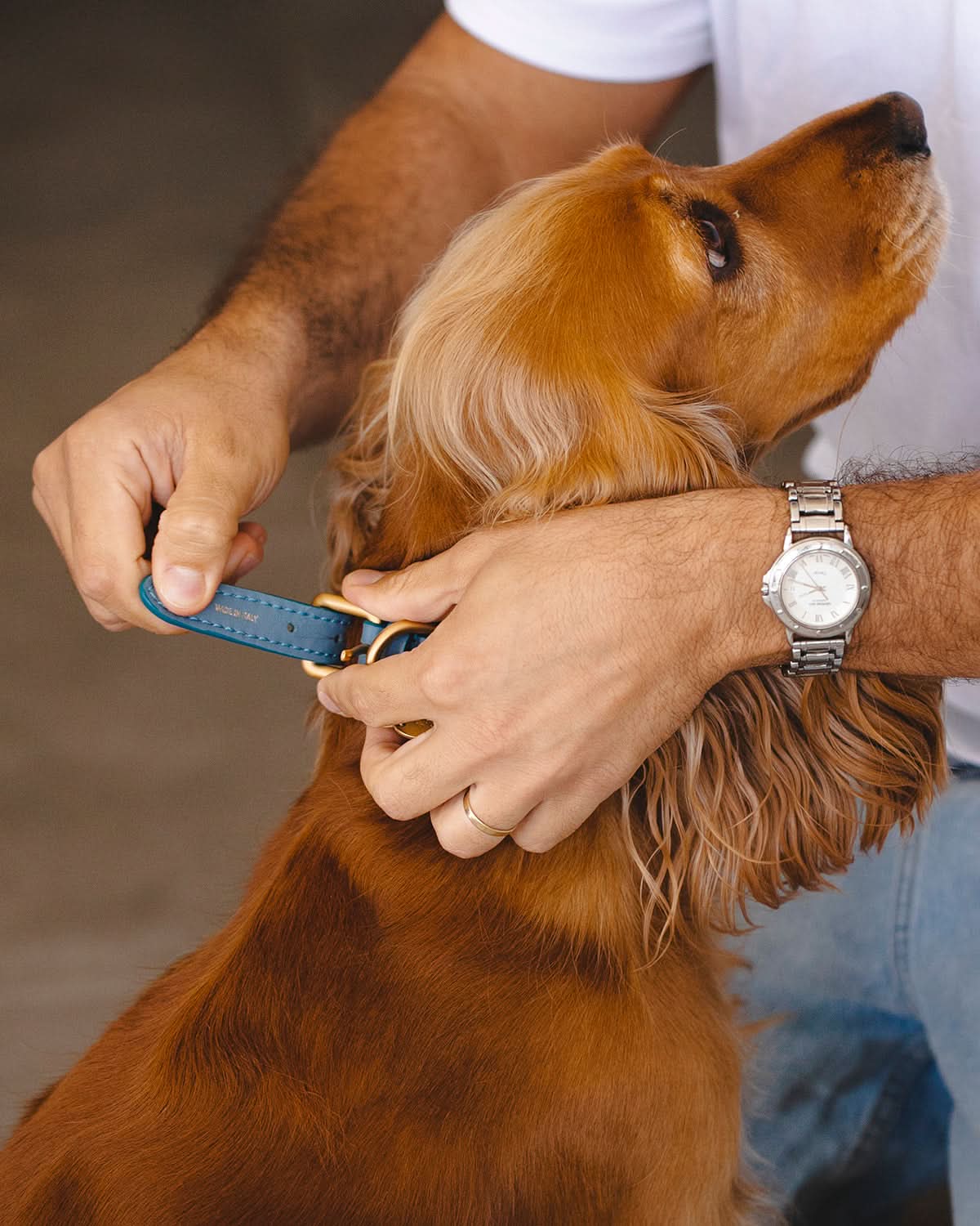 MARIO WIDE LEATHER COLLAR | קולר עור נאפה רחב לכלב