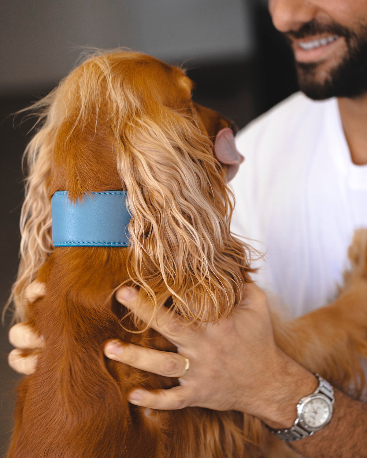 MARIO WIDE LEATHER COLLAR | קולר עור רחב לכלב