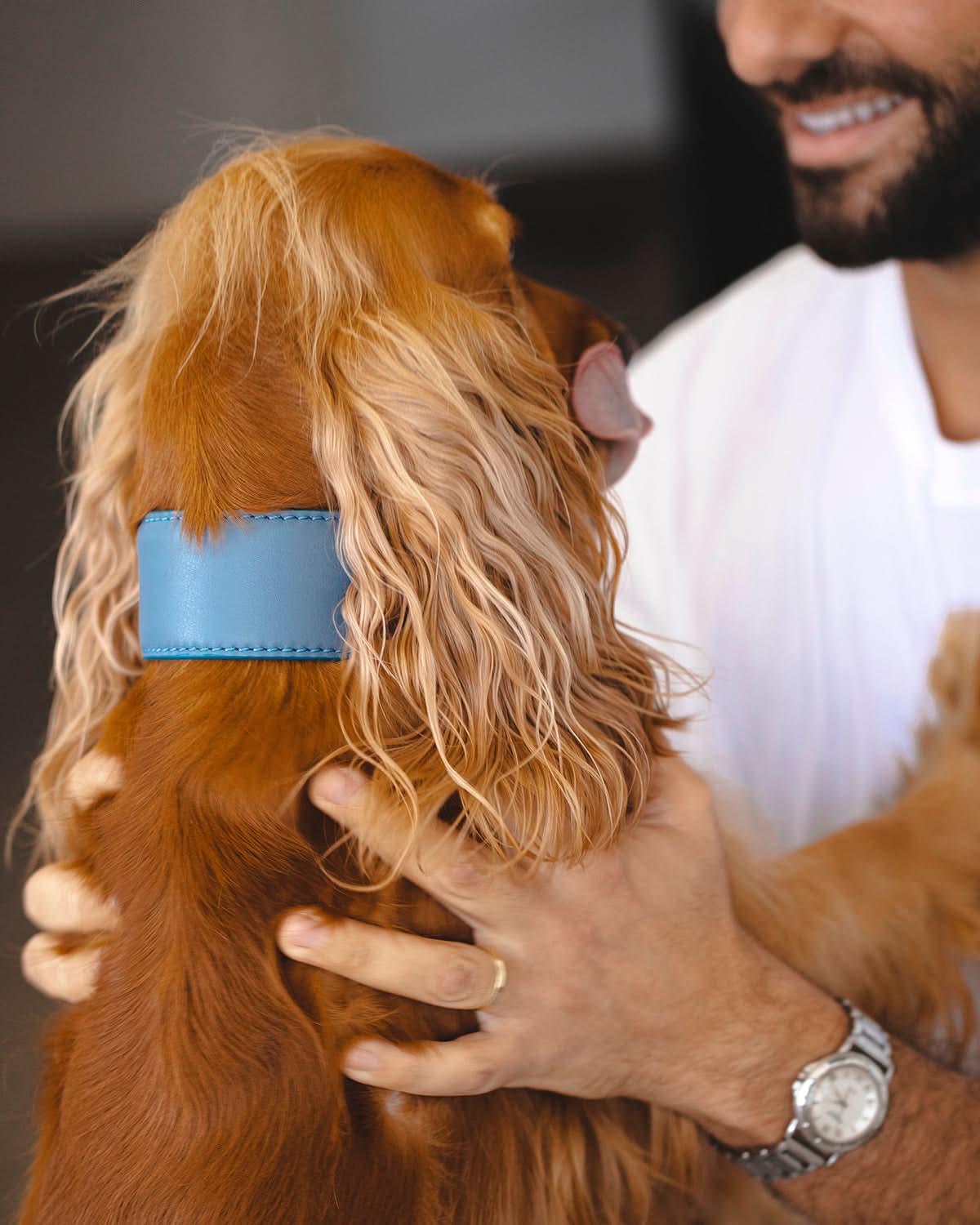 MARIO WIDE LEATHER COLLAR | קולר עור נאפה רחב לכלב