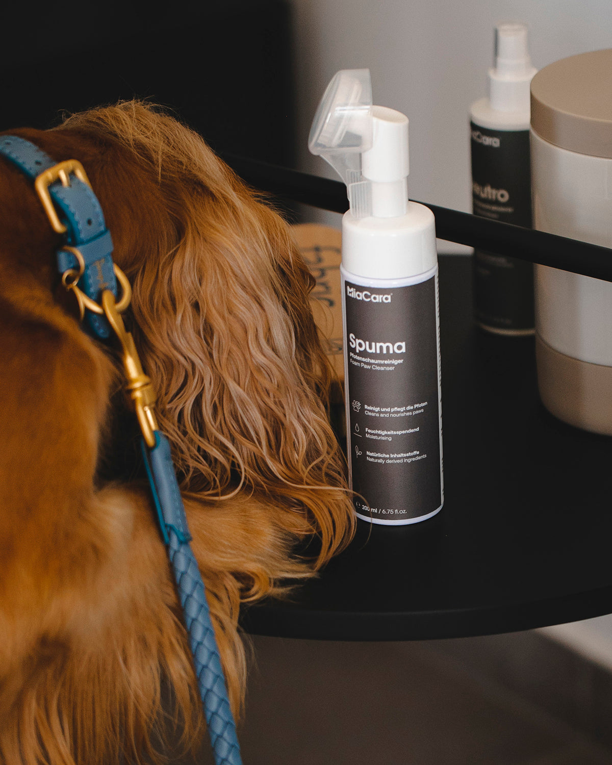 SPUMA DOG FOAM PAW CLEANSER | קצף ניקוי כפות רגליים לכלב