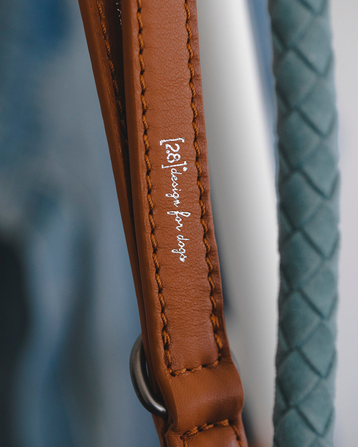 רצועת עור לכלב