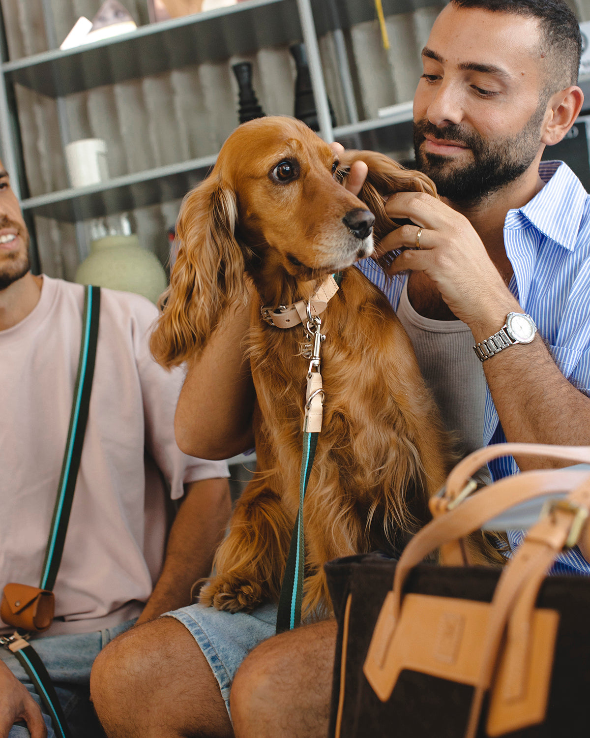 FRANCO RIBBON DOG COLLAR | קולר לכלב
