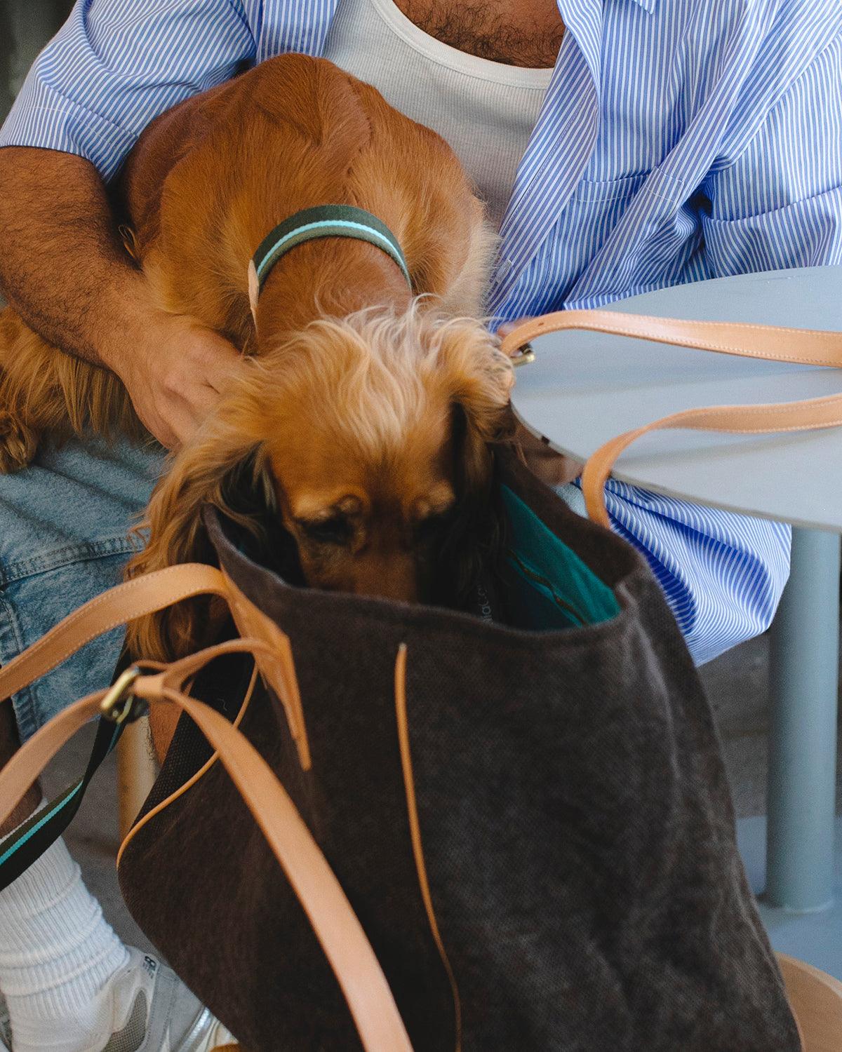 MARGARET ORGANIC COTTON DOG BAG | תיק נשיאה לכלב או תיק לבעלים