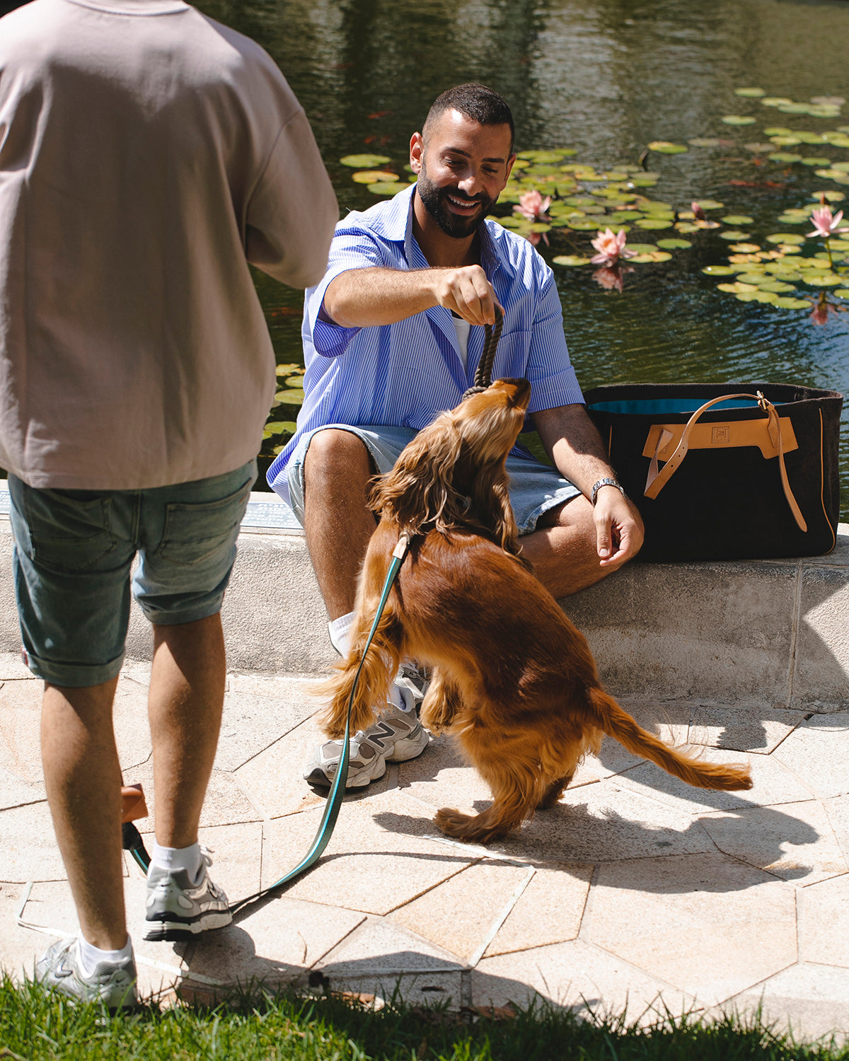 NODO DOG ROPE TOY | חבל משחק לכלב