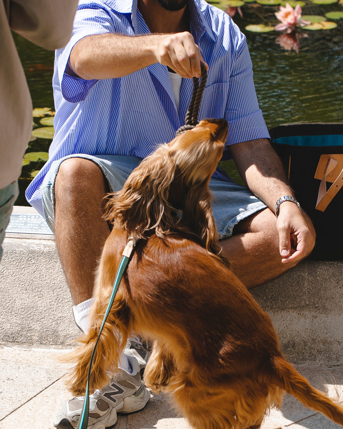 NODO DOG ROPE TOY | חבל משחק לכלב