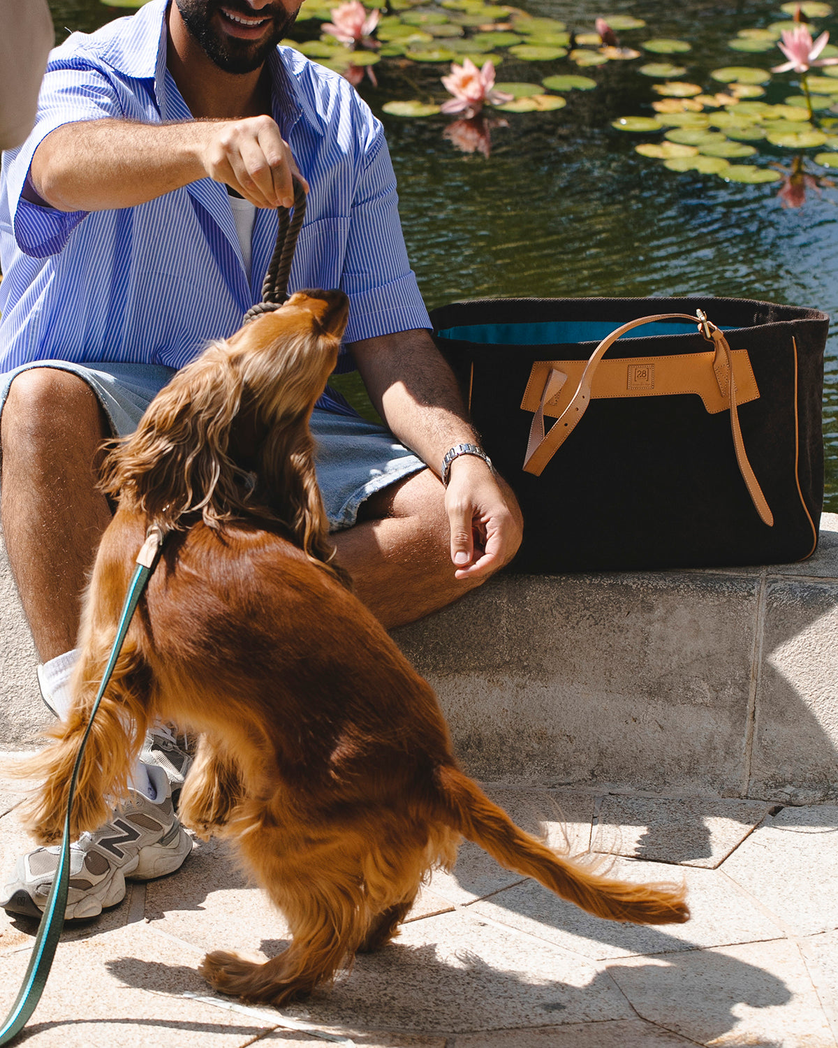 MARGARET ORGANIC COTTON DOG BAG | תיק נשיאה לכלב או תיק לבעלים