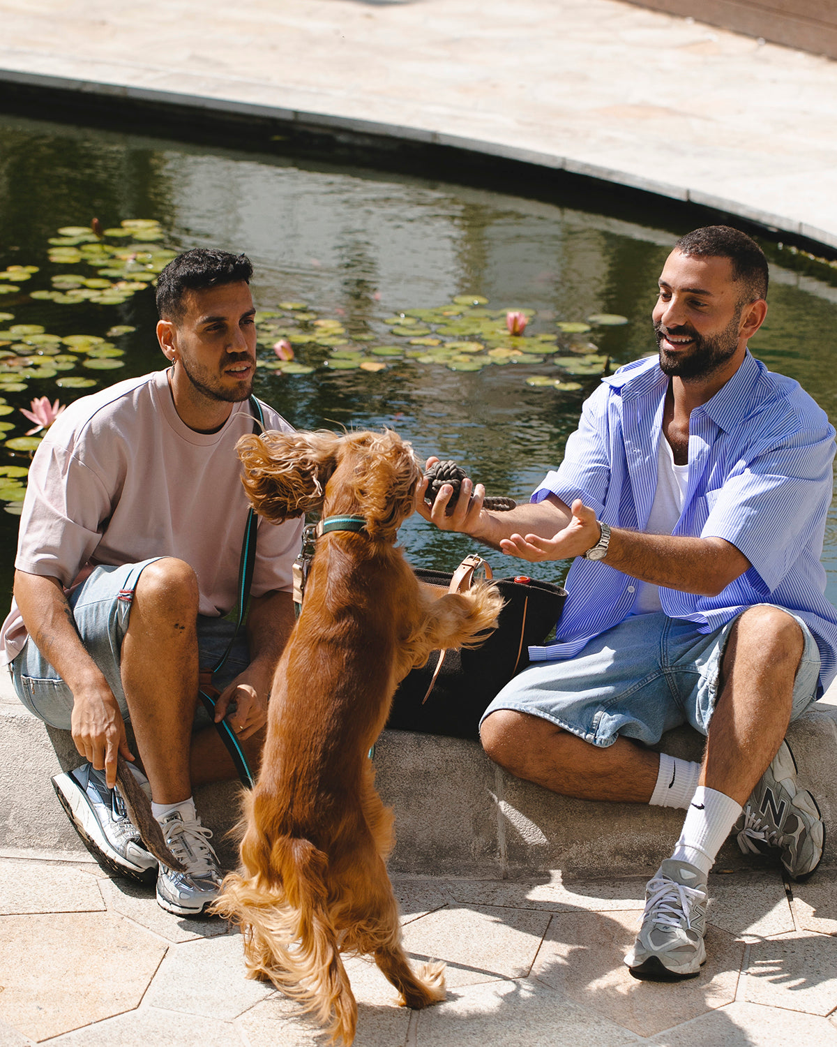 NODO DOG ROPE TOY | חבל משחק לכלב