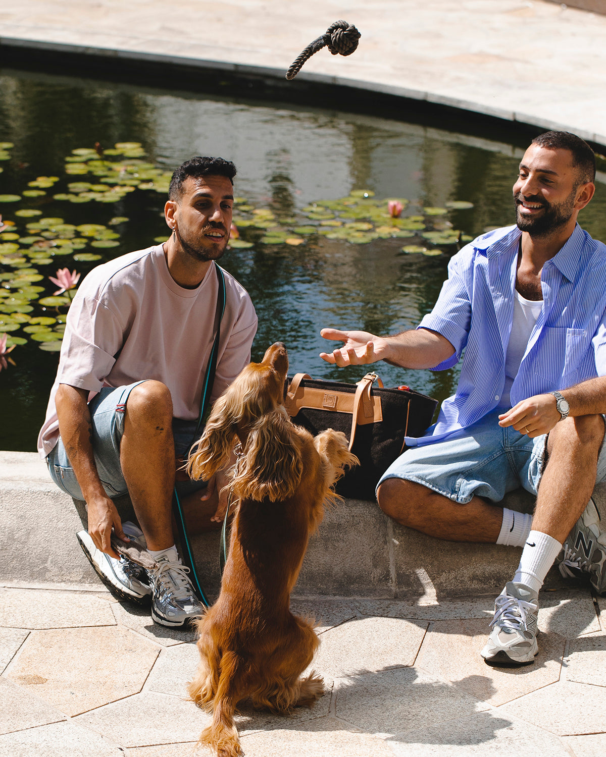 NODO DOG ROPE TOY | חבל משחק לכלב