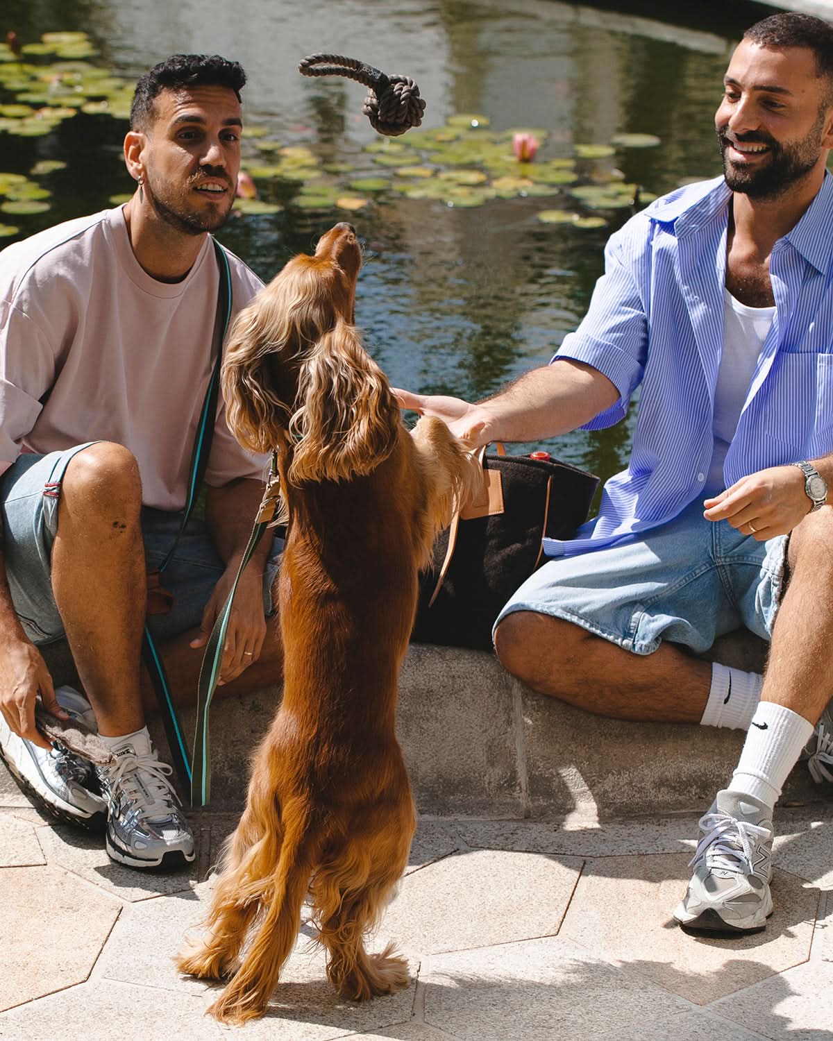 NODO DOG ROPE TOY | חבל משחק לכלב