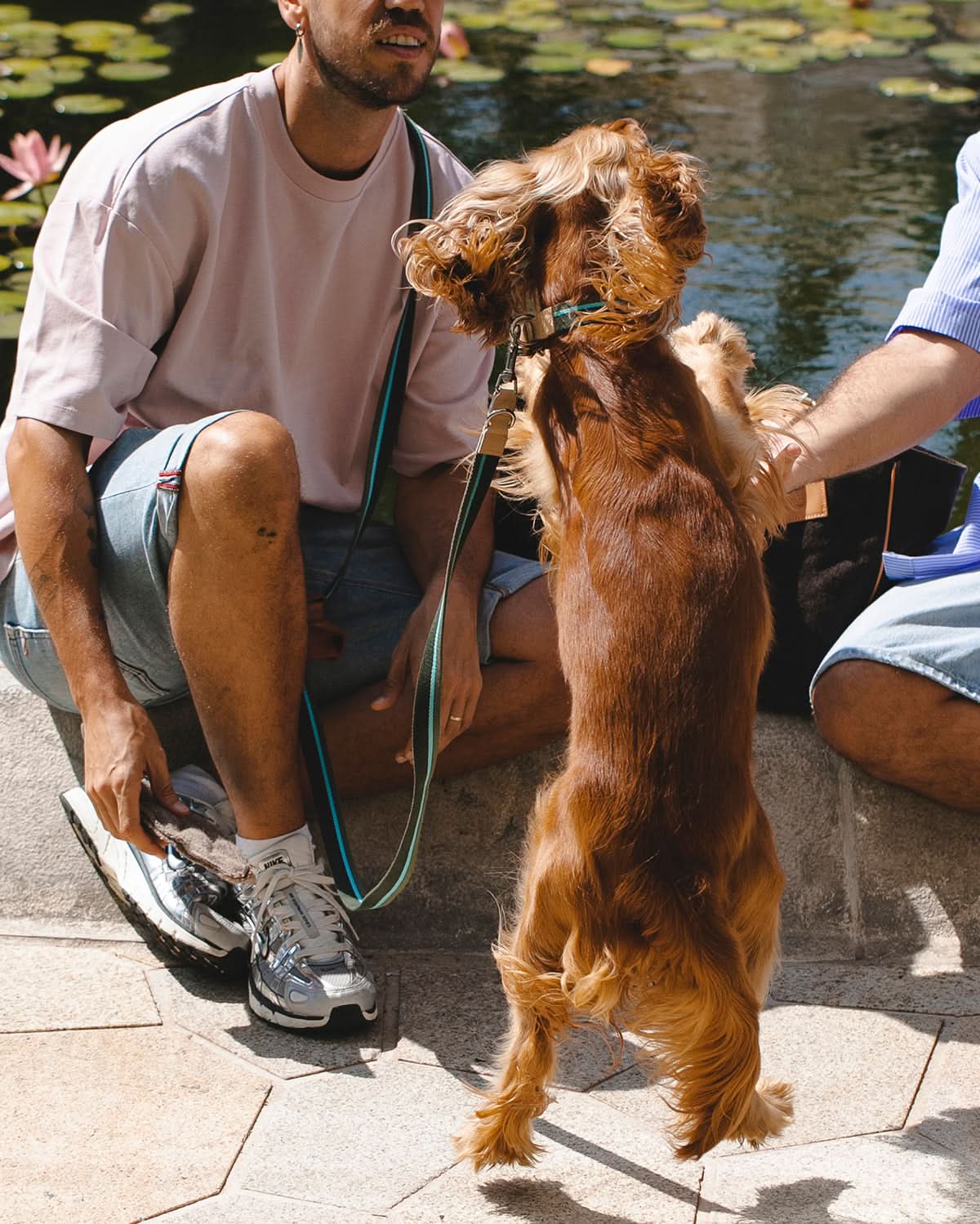 FRANCO RIBBON DOG COLLAR | קולר לכלב