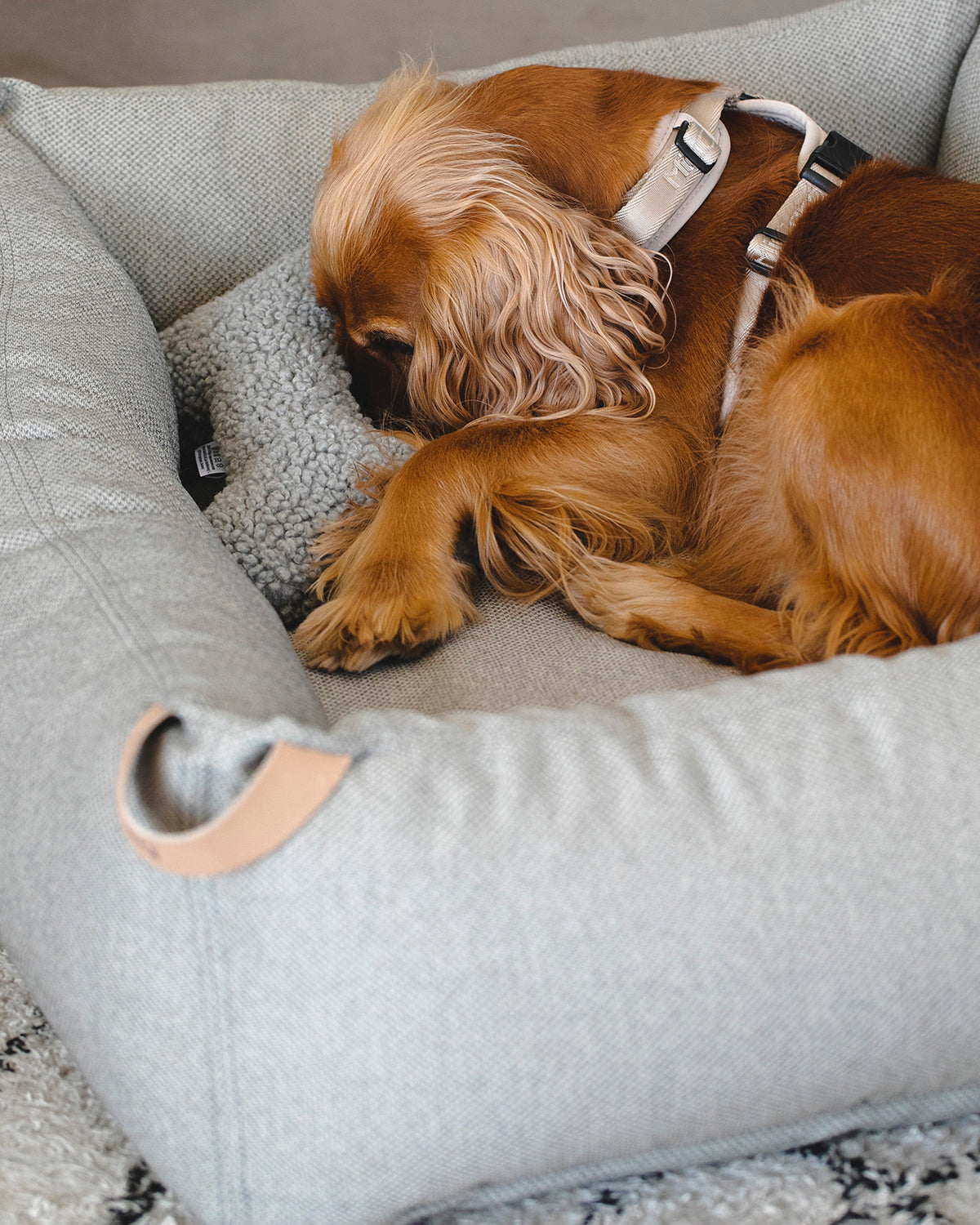 SENSO DOG BONE TOY | צעצוע עצם לכלב