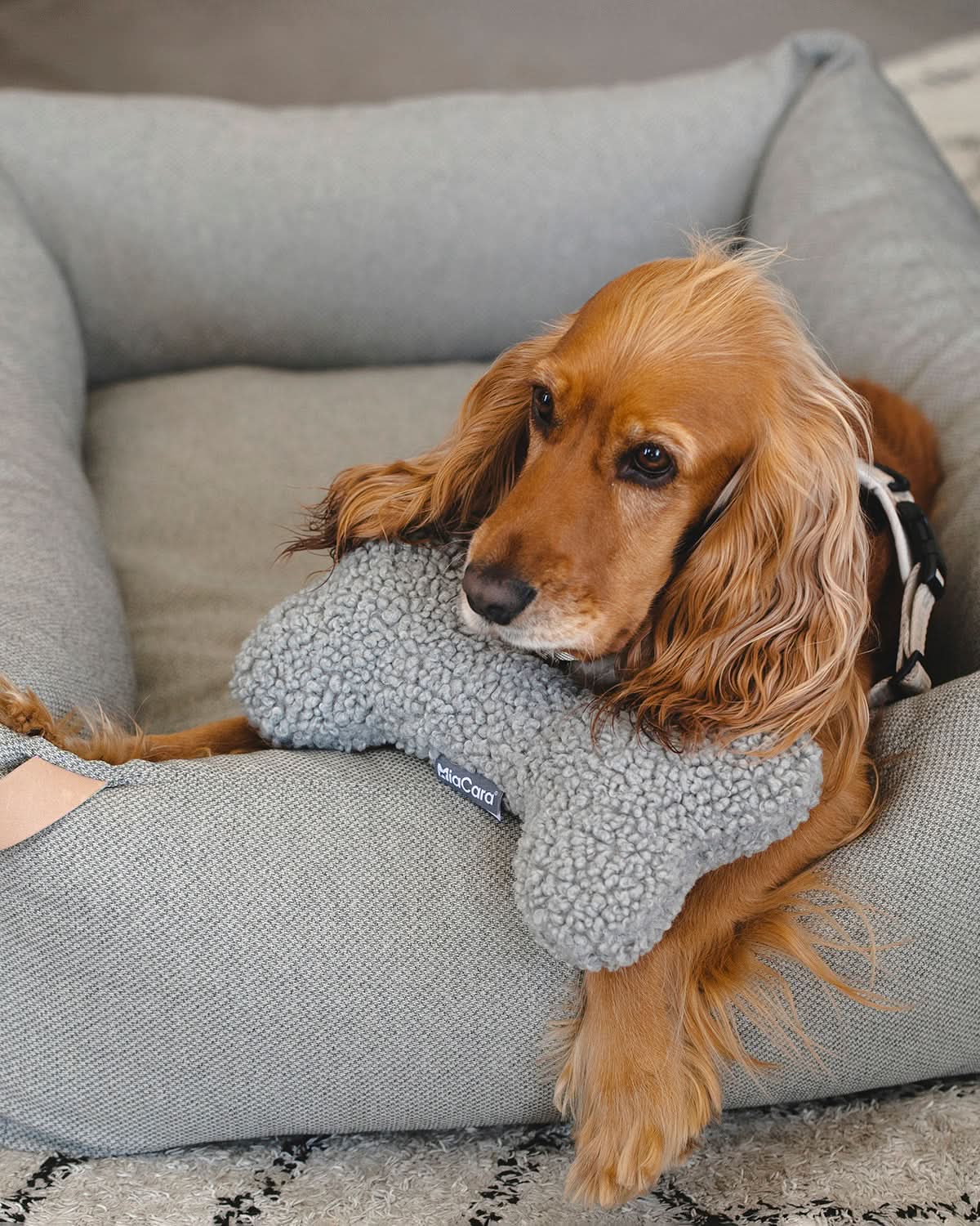 SENSO DOG BONE TOY | צעצוע עצם לכלב