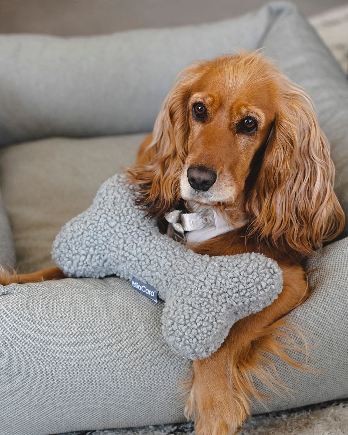 SENSO DOG BONE TOY | צעצוע עצם לכלב