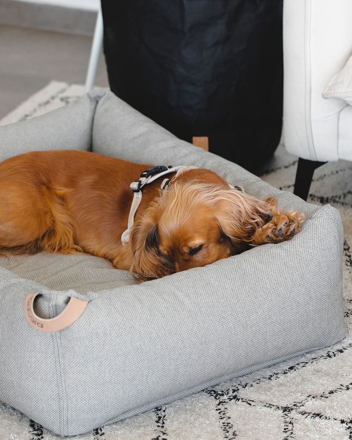 MARE DOG BOX BED | מיטה אורתופדית לכלב