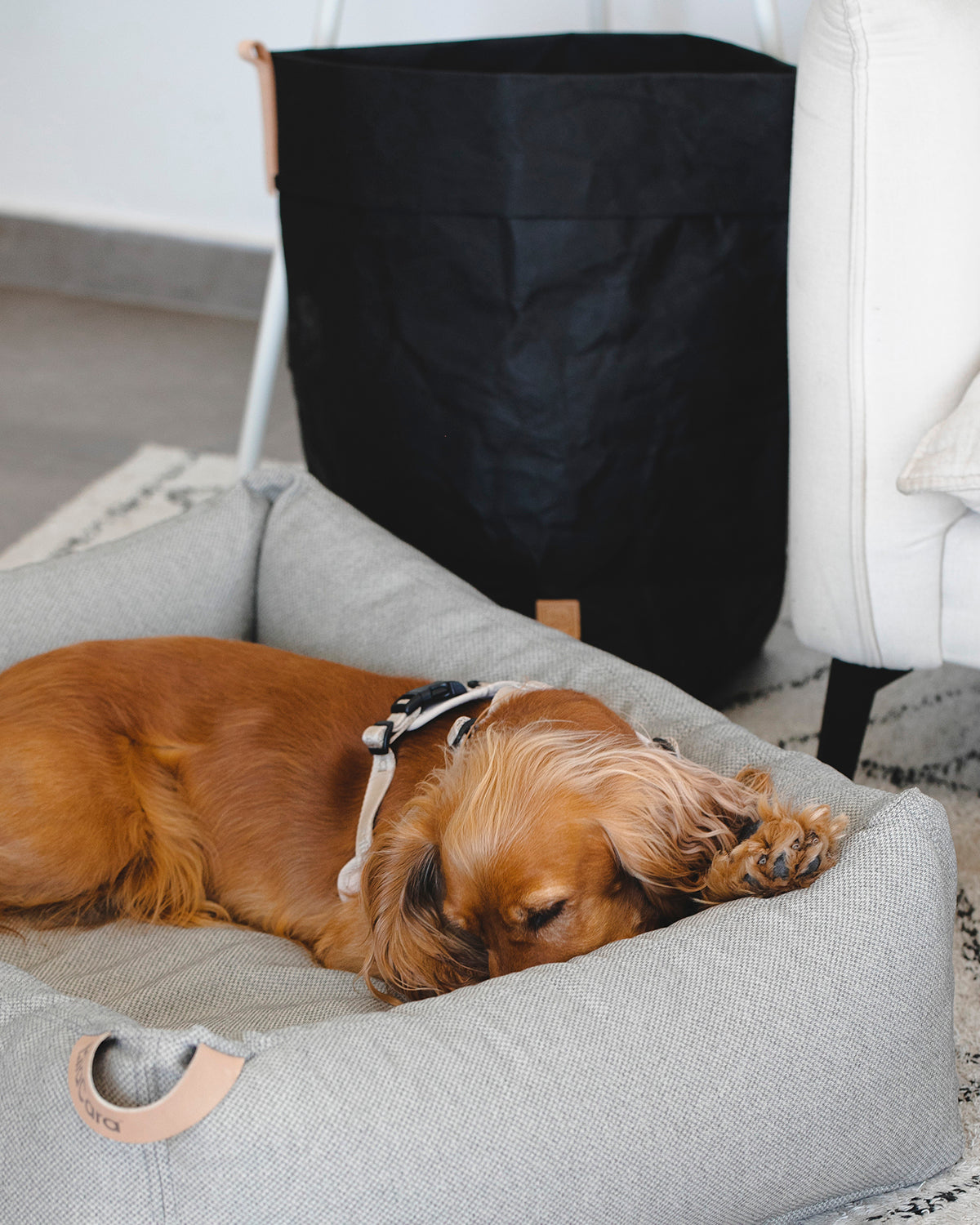 תיק אחסון למזון או צעצועים של BERENICE | שק אחסון לאוכל וצעצועים