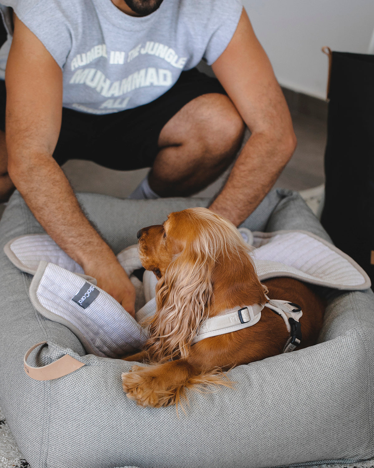 ONDA DOG BLANKET | שמיכה לכלב