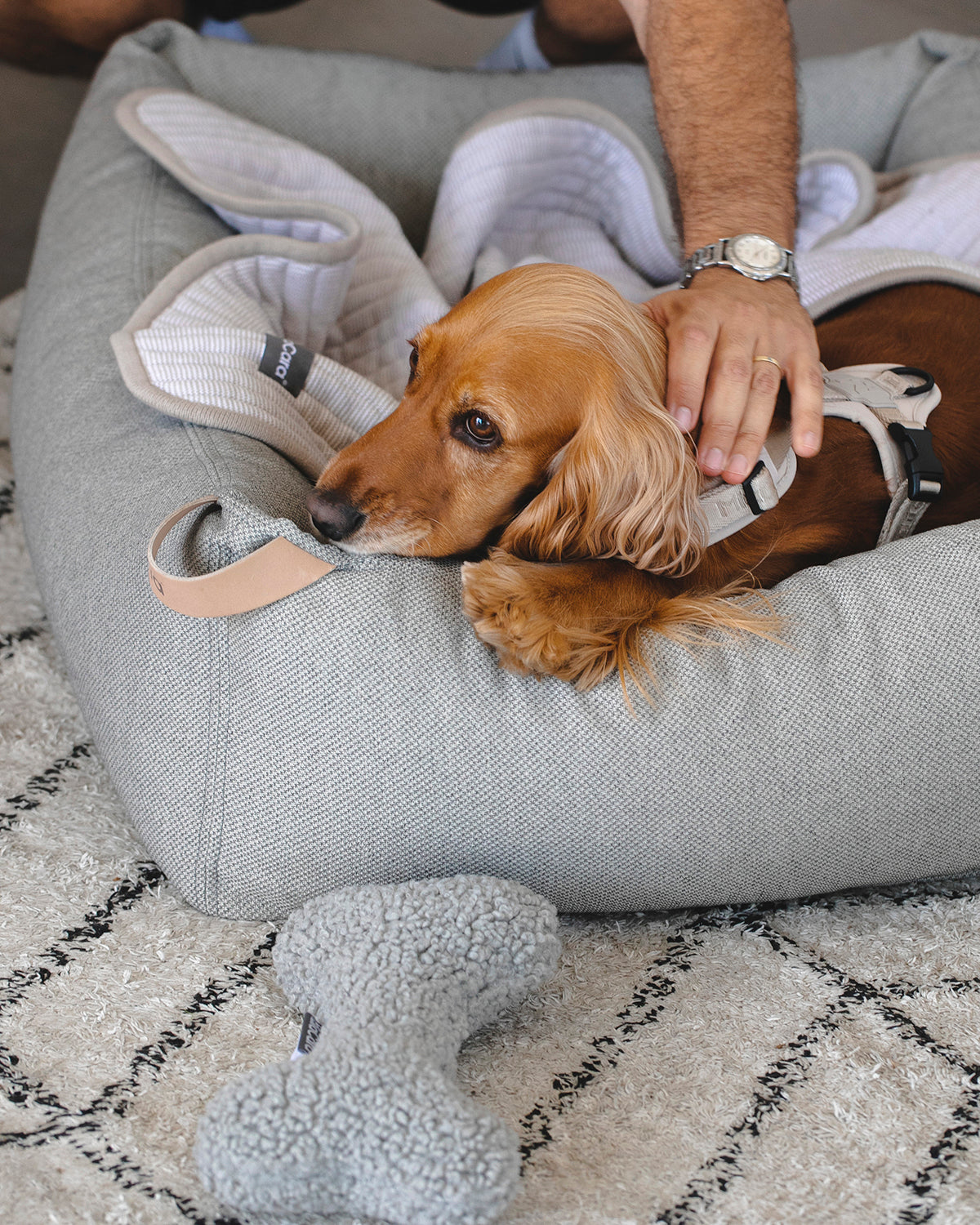 ONDA DOG BLANKET | שמיכה לכלב