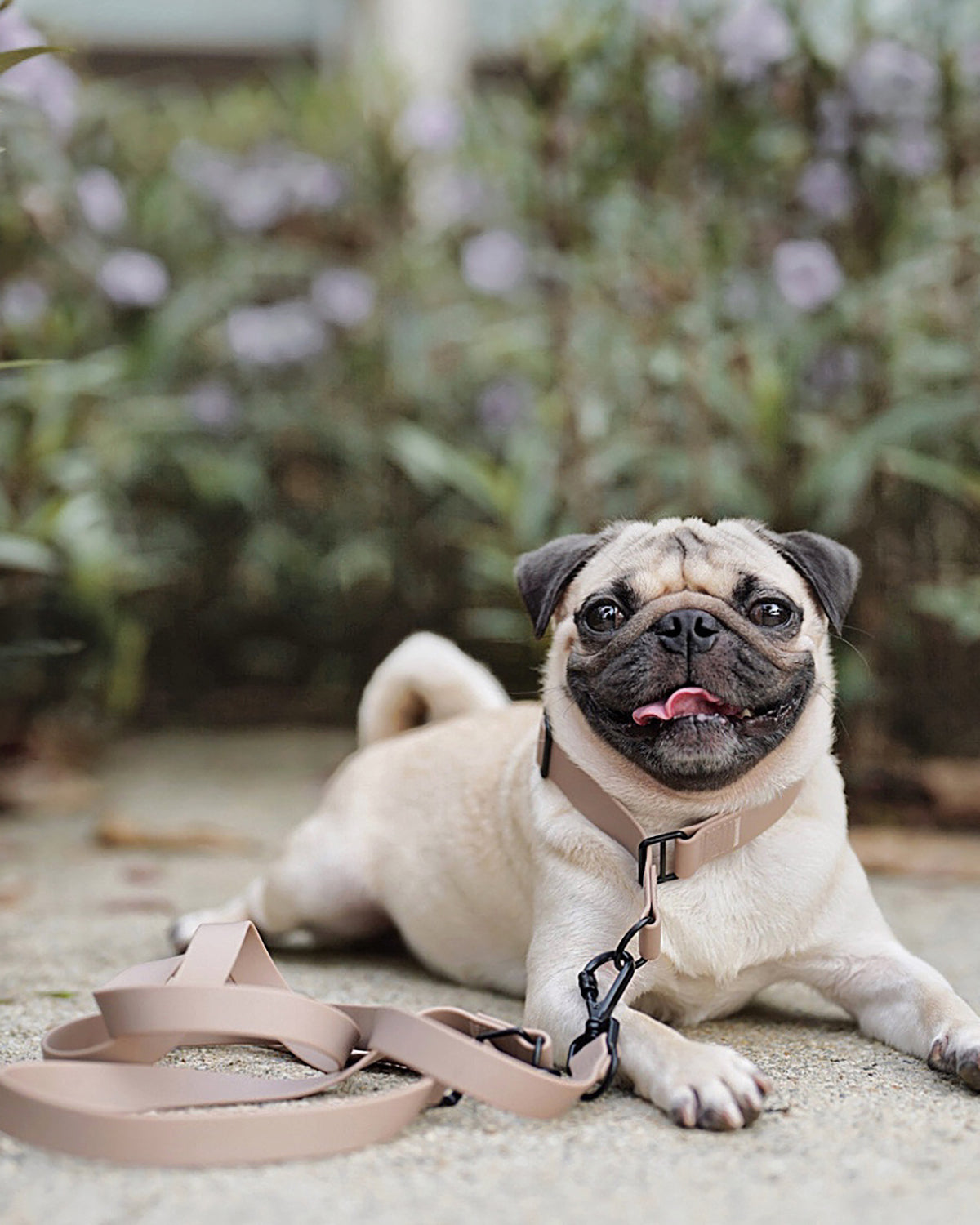 MELLEM X LEASH | רצועה לכלב