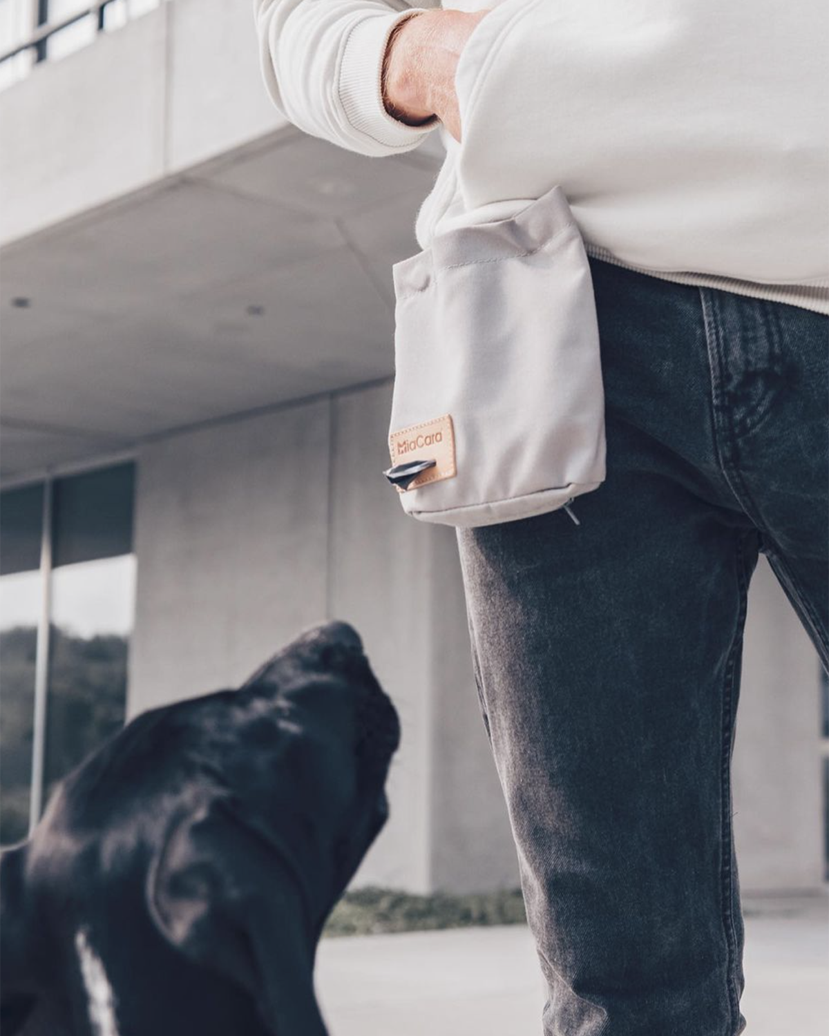 LUPO DOG TREAT BAG | נרתיק חטיפים לכלב