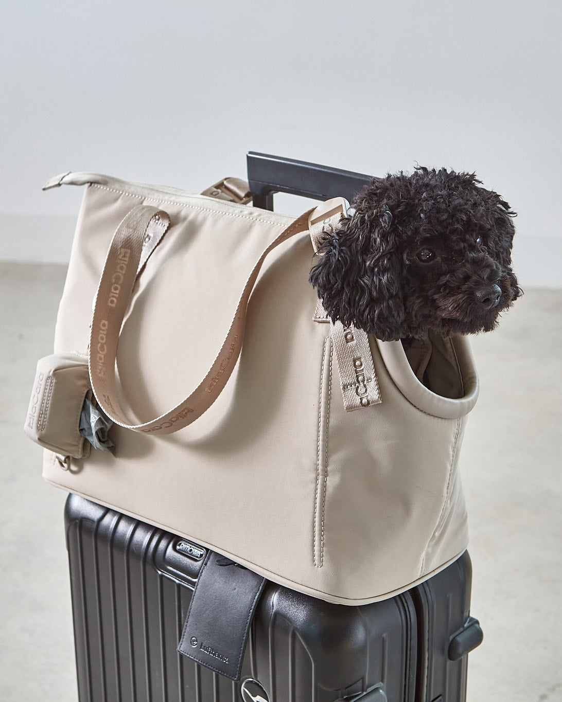 SPORTA DOG CARRIER BAG | תיק נשיאה לכלב