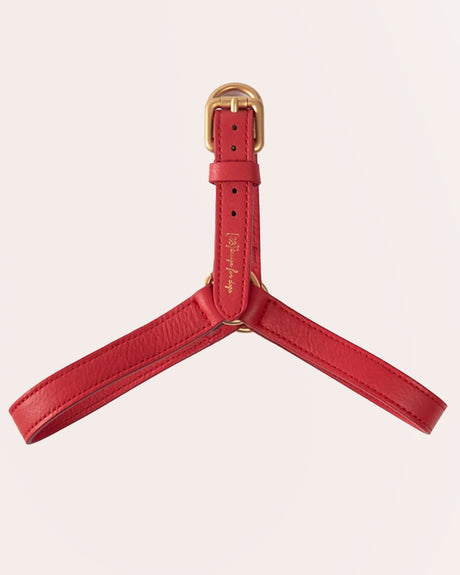 MARIO LEATHER HARNESS | רתמת עור לכלב
