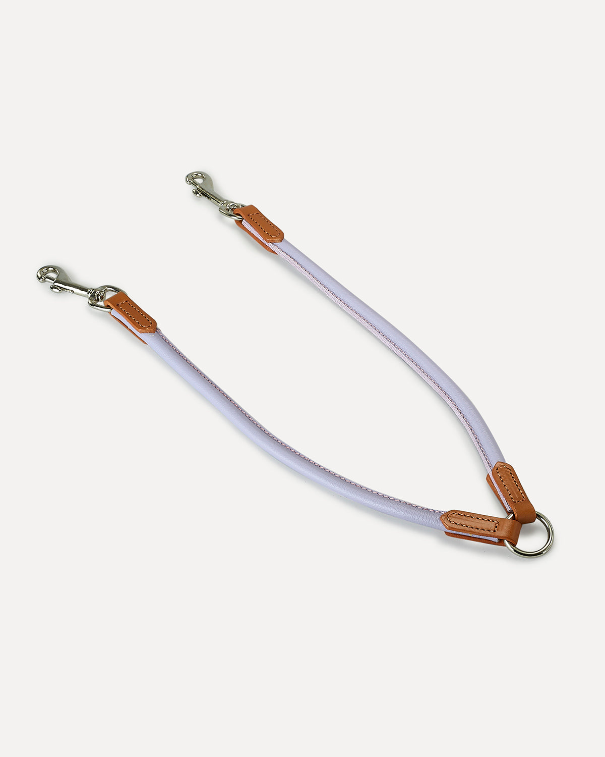 רצועת עור זוגית לכלבים