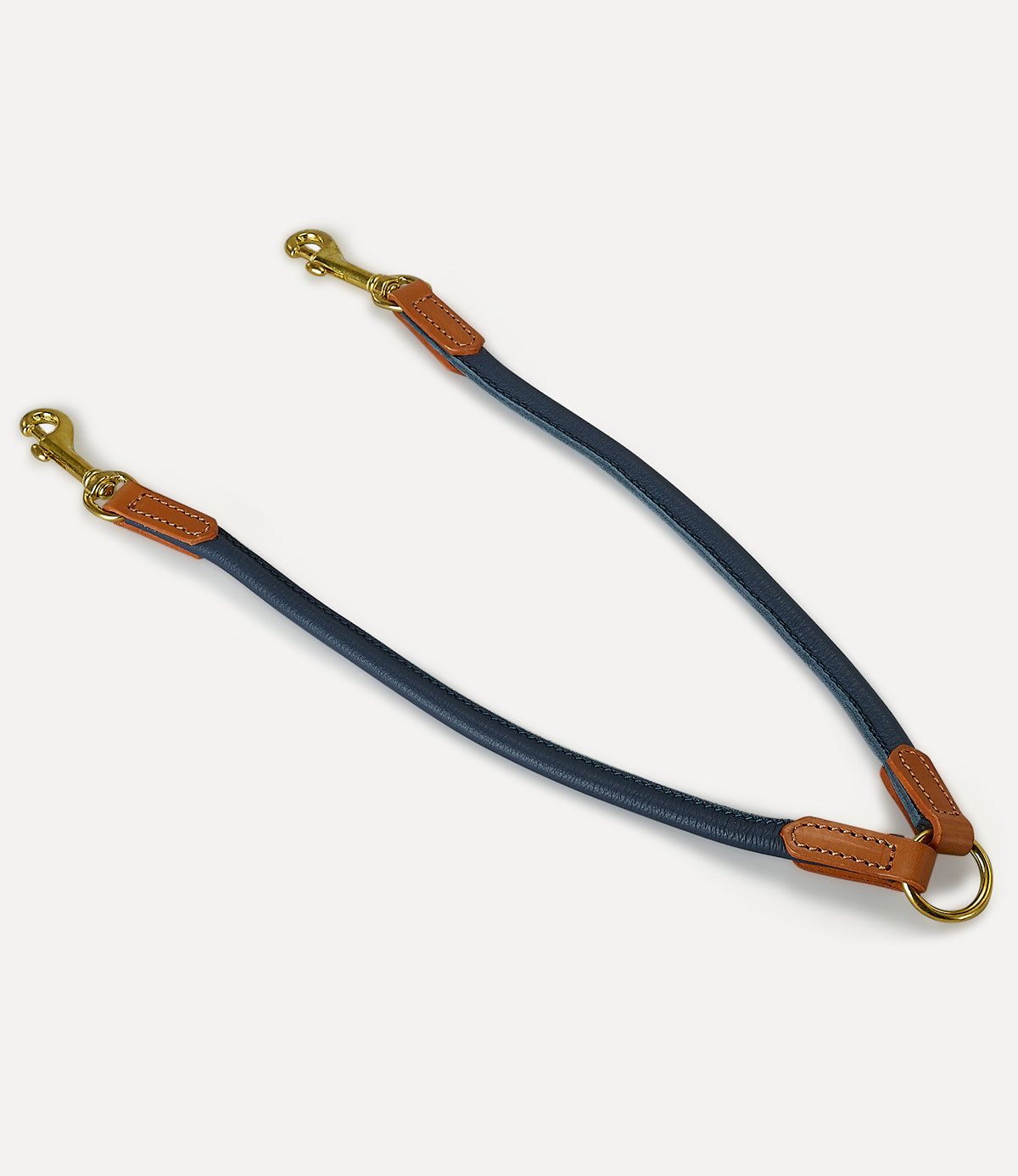 רצועת עור זוגית לכלבים