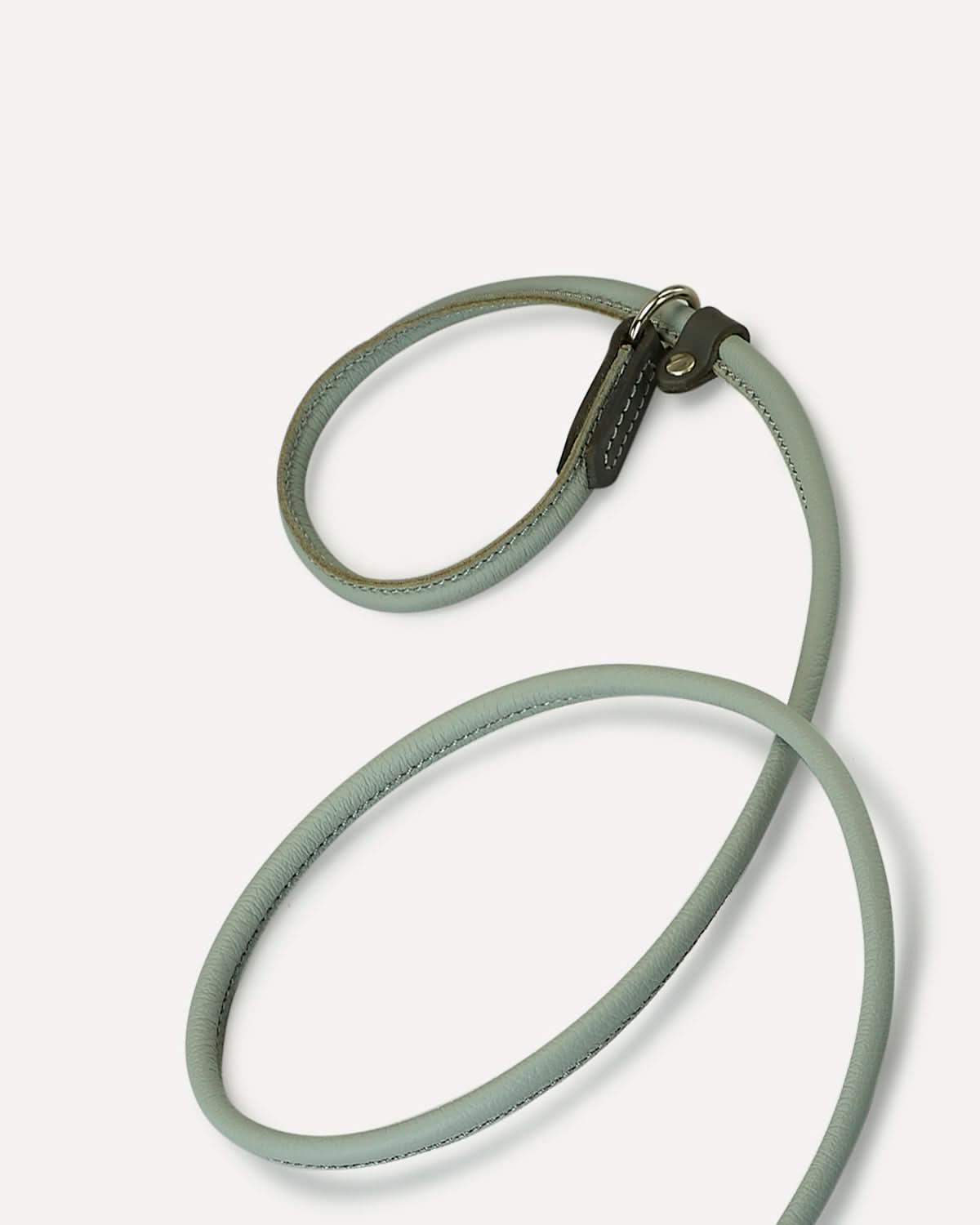 DOG SLIP LEASH | רצועת אילוף משולבת קולר לכלב