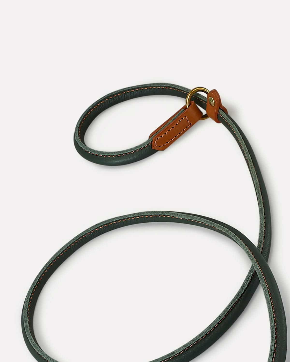 DOG SLIP LEASH | רצועת אילוף משולבת קולר לכלב