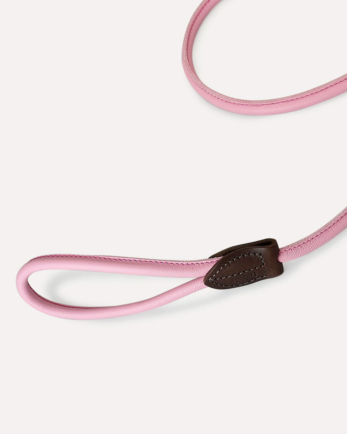 DOG SLIP LEASH | רצועת אילוף משולבת קולר לכלב