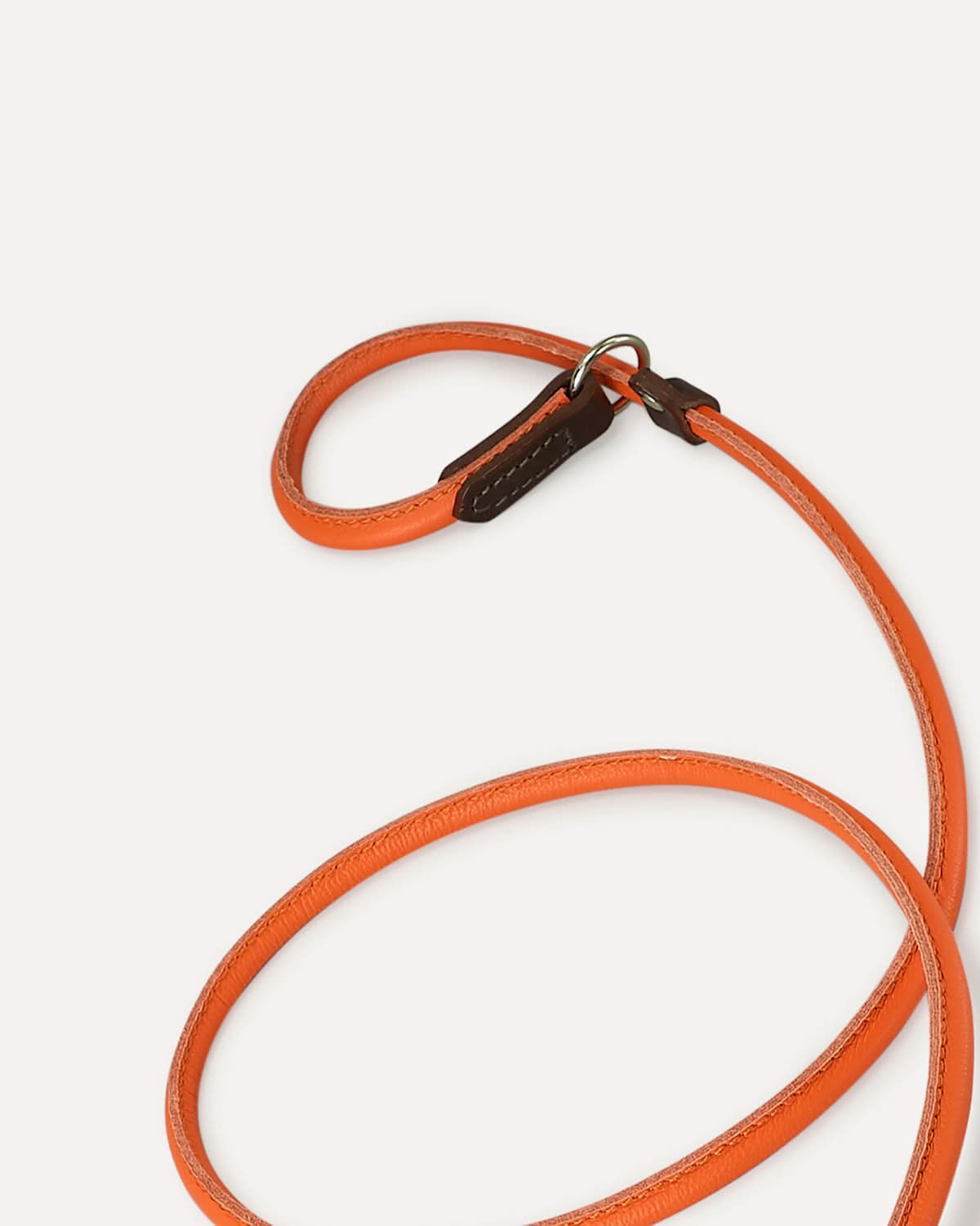 DOG SLIP LEASH | רצועת אילוף משולבת קולר לכלב
