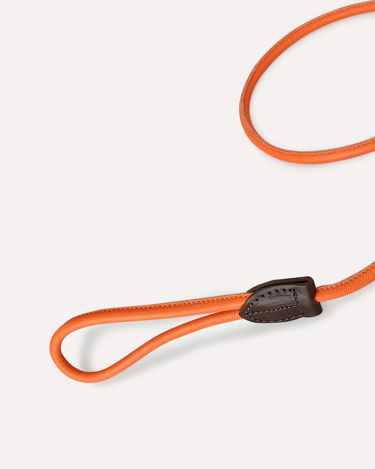 DOG SLIP LEASH | רצועת אילוף משולבת קולר לכלב