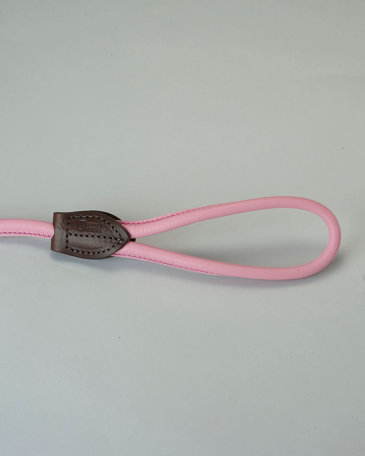 DOG SLIP LEASH | רצועת אילוף משולבת קולר לכלב
