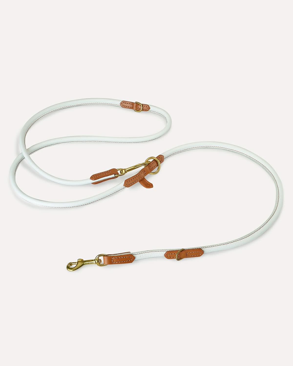 רצועות ארוכות לכלבים