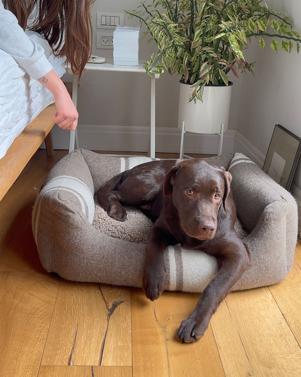 HENRI RECYCLED WOOL DOG BED | מיטה לכלב