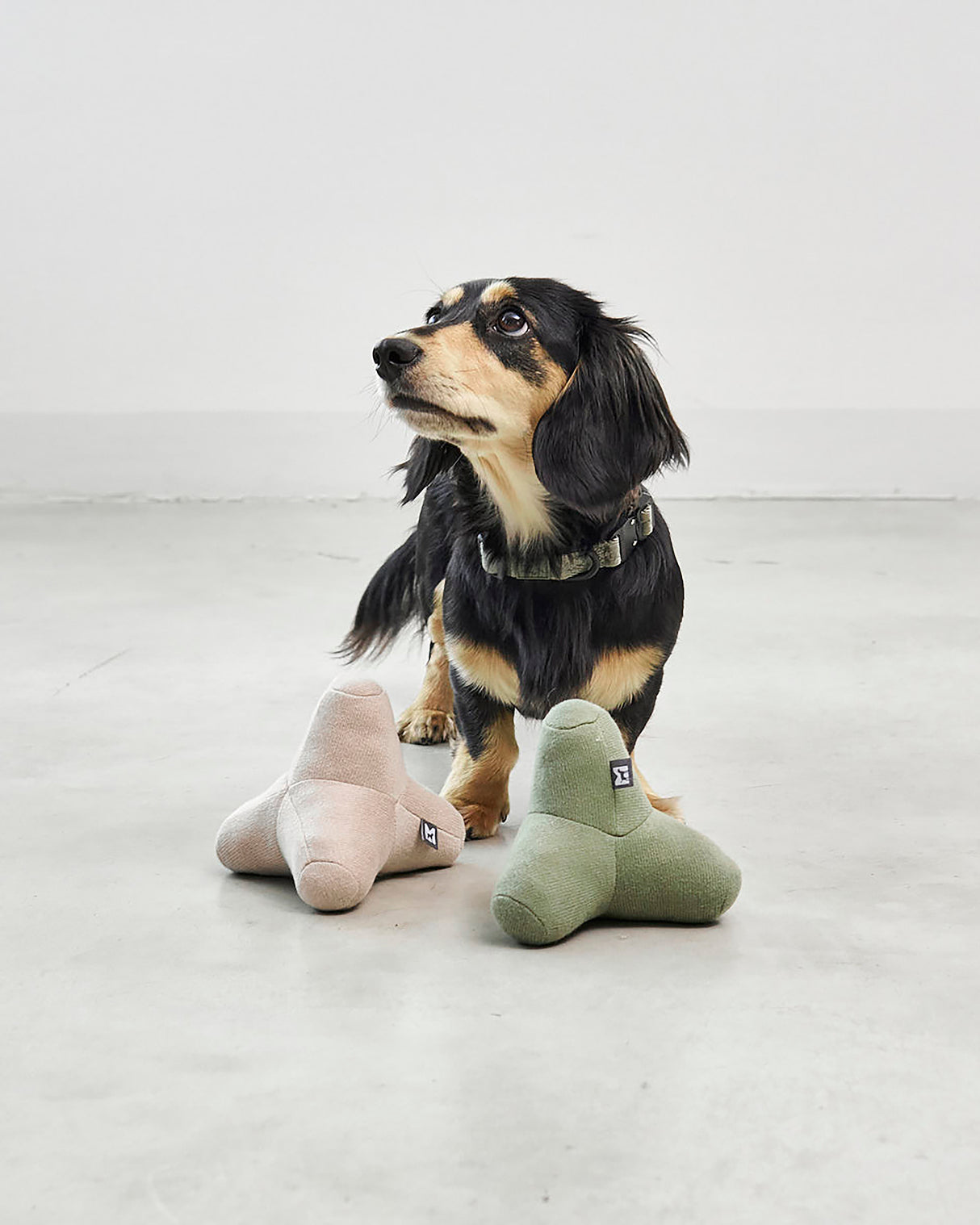 QUATTRO DOG TOY | צעצוע גאומטרי סרוג לכלב