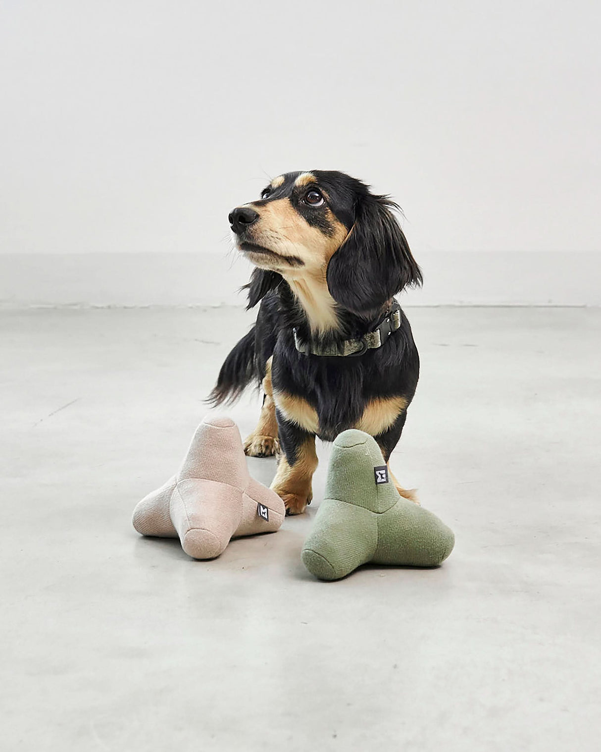 QUATTRO DOG TOY | צעצוע גאומטרי סרוג לכלב