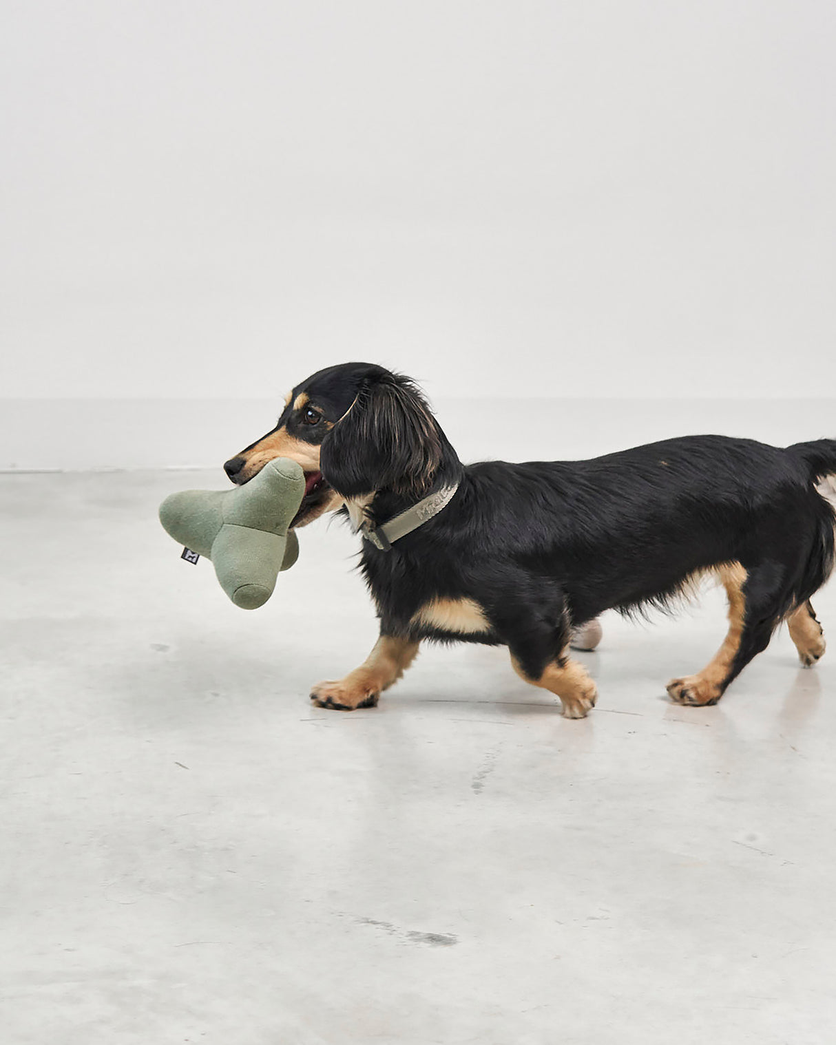 QUATTRO DOG TOY | צעצוע גאומטרי סרוג לכלב