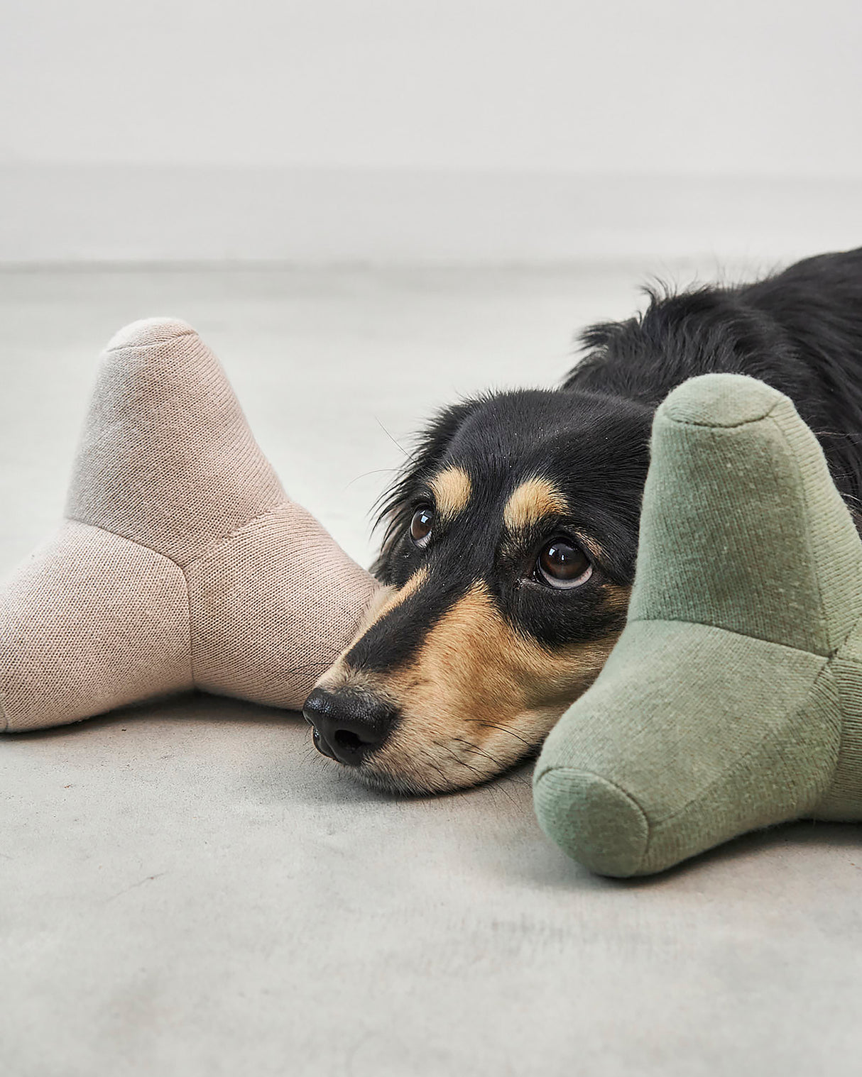 QUATTRO DOG TOY | צעצוע גאומטרי סרוג לכלב