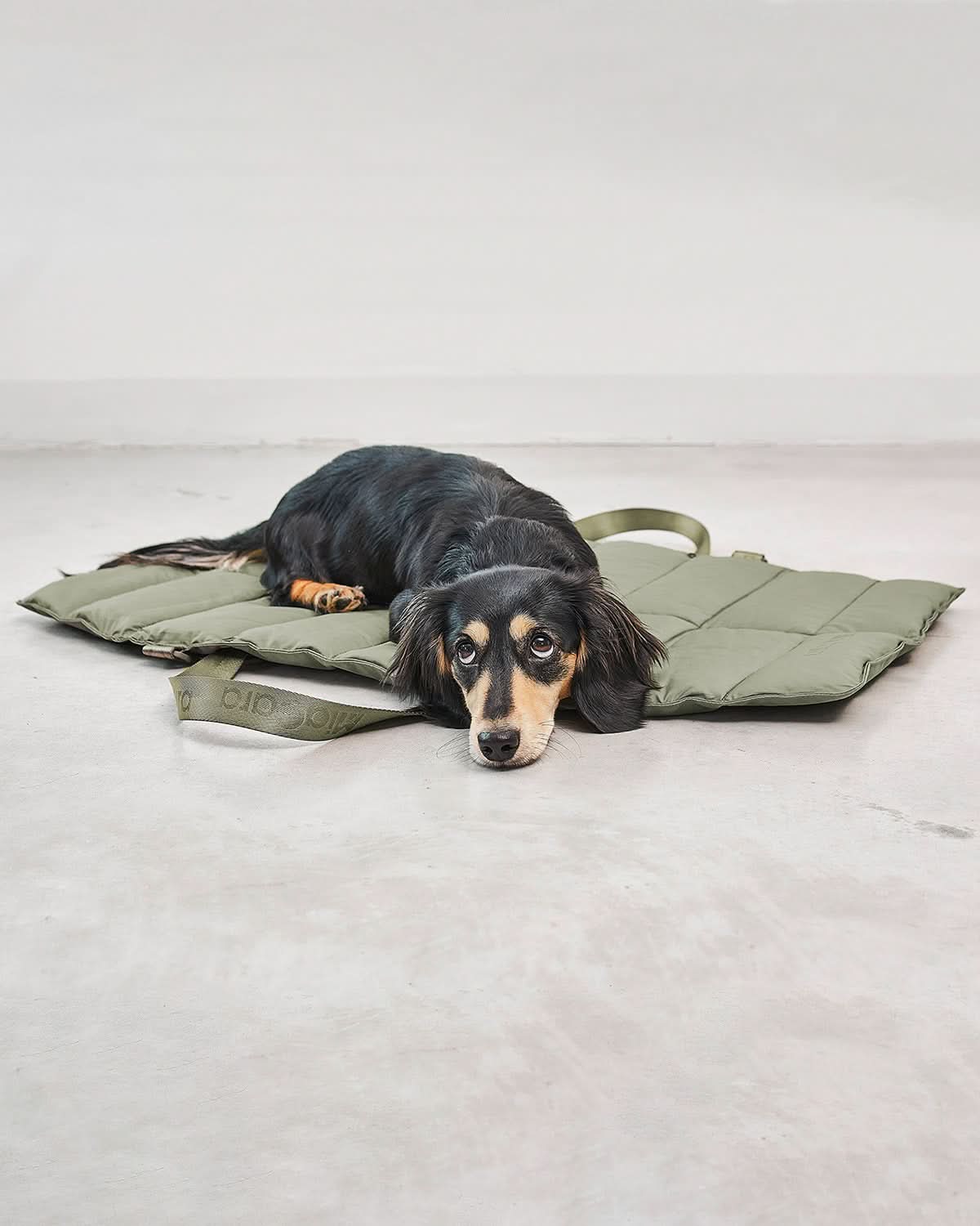 STRADA DOG TRAVEL MAT | מזרן טיולים מתקפל לכלב