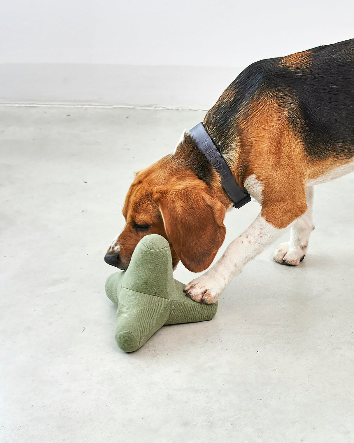 QUATTRO DOG TOY | צעצוע גאומטרי סרוג לכלב