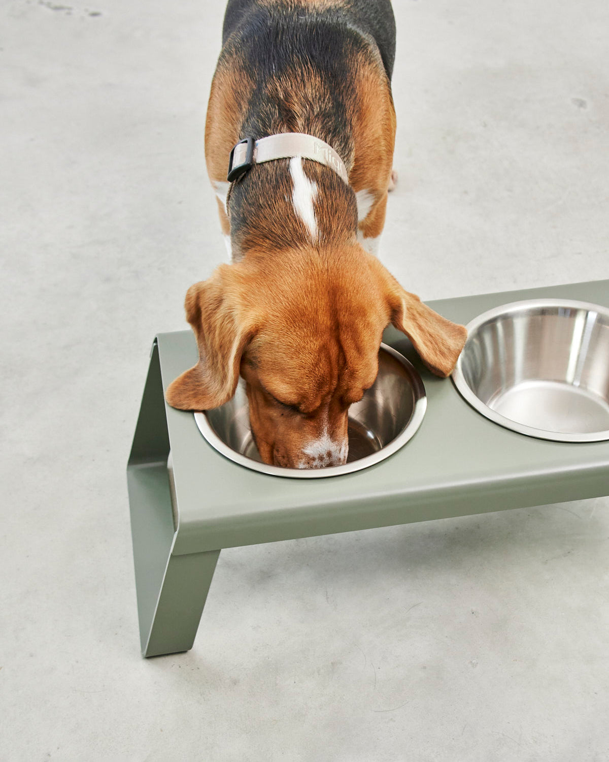 DESCO ALU | מעמד קערות מוגבה לכלב