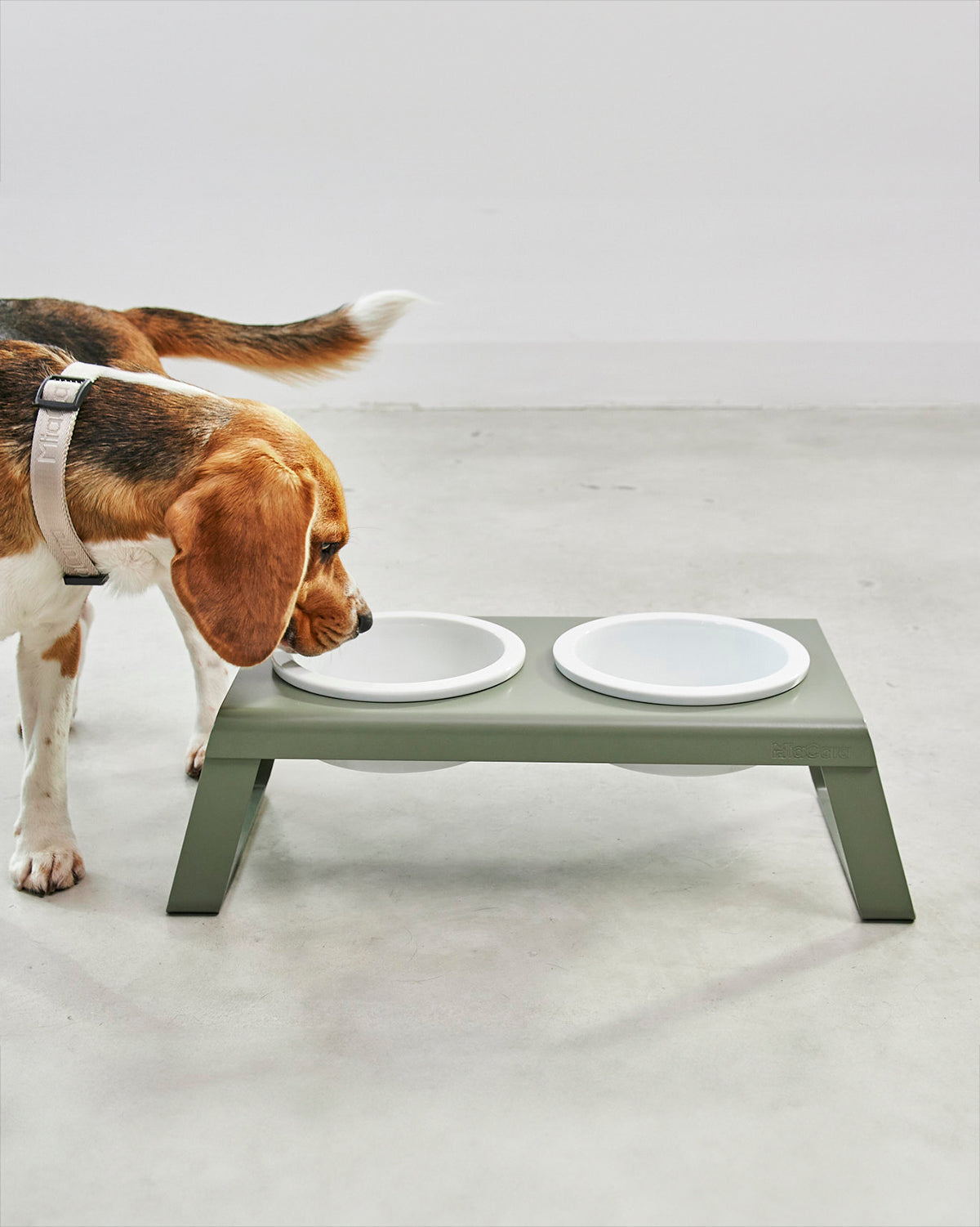 מעמד קערות מוגבה לכלב