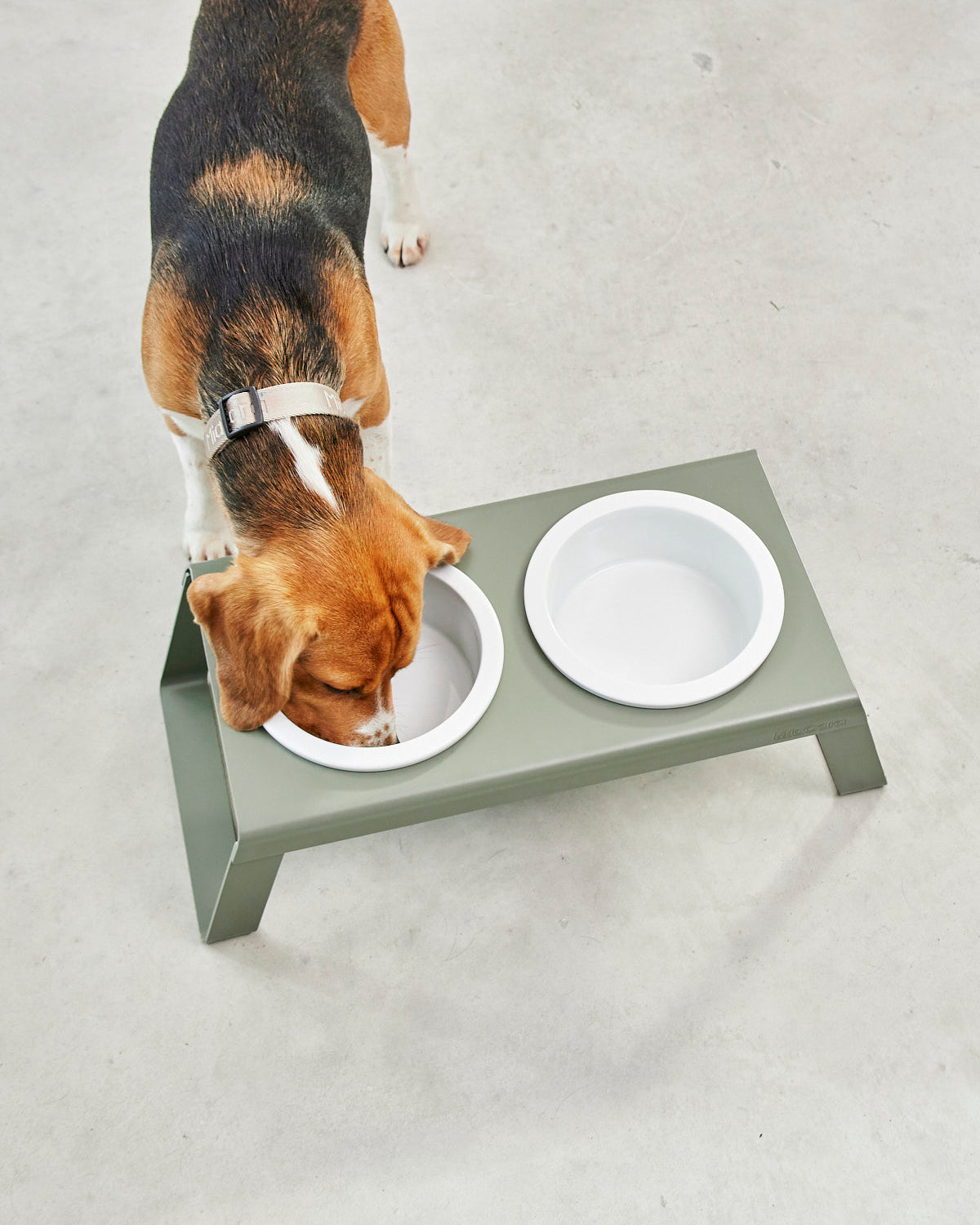 מעמד קערות מוגבה לכלב