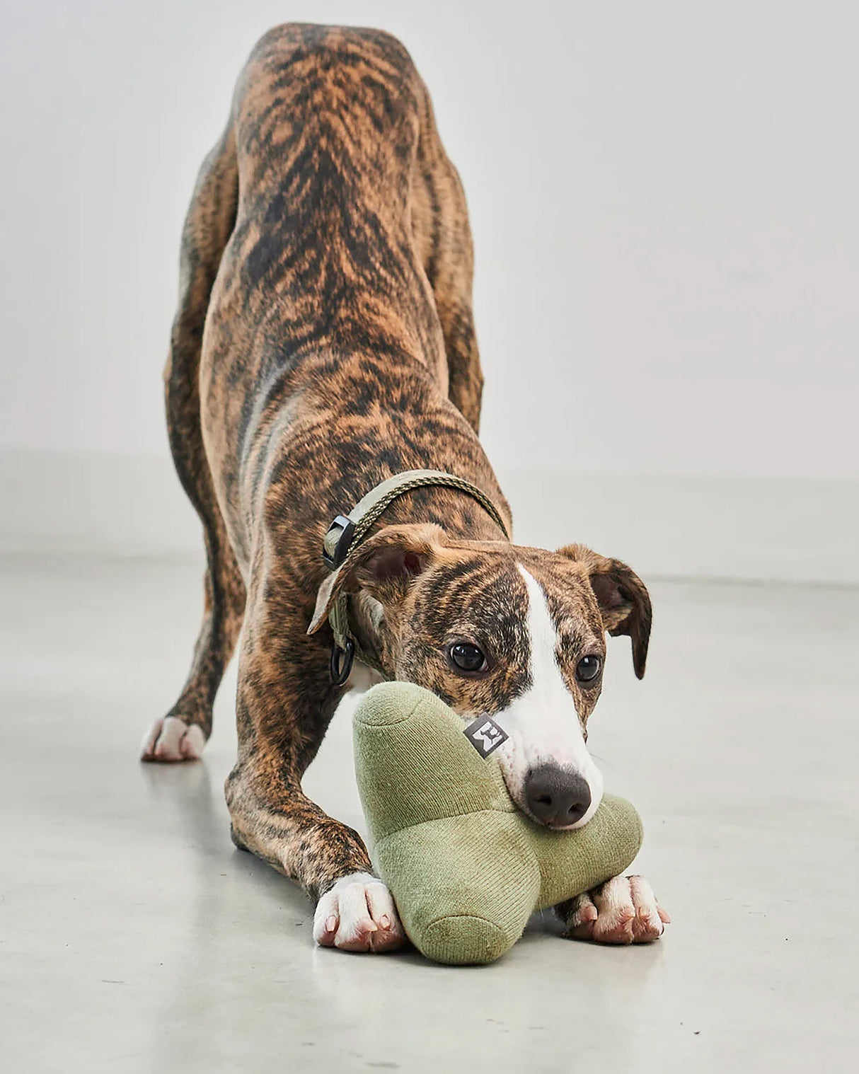 QUATTRO DOG TOY | צעצוע גאומטרי סרוג לכלב