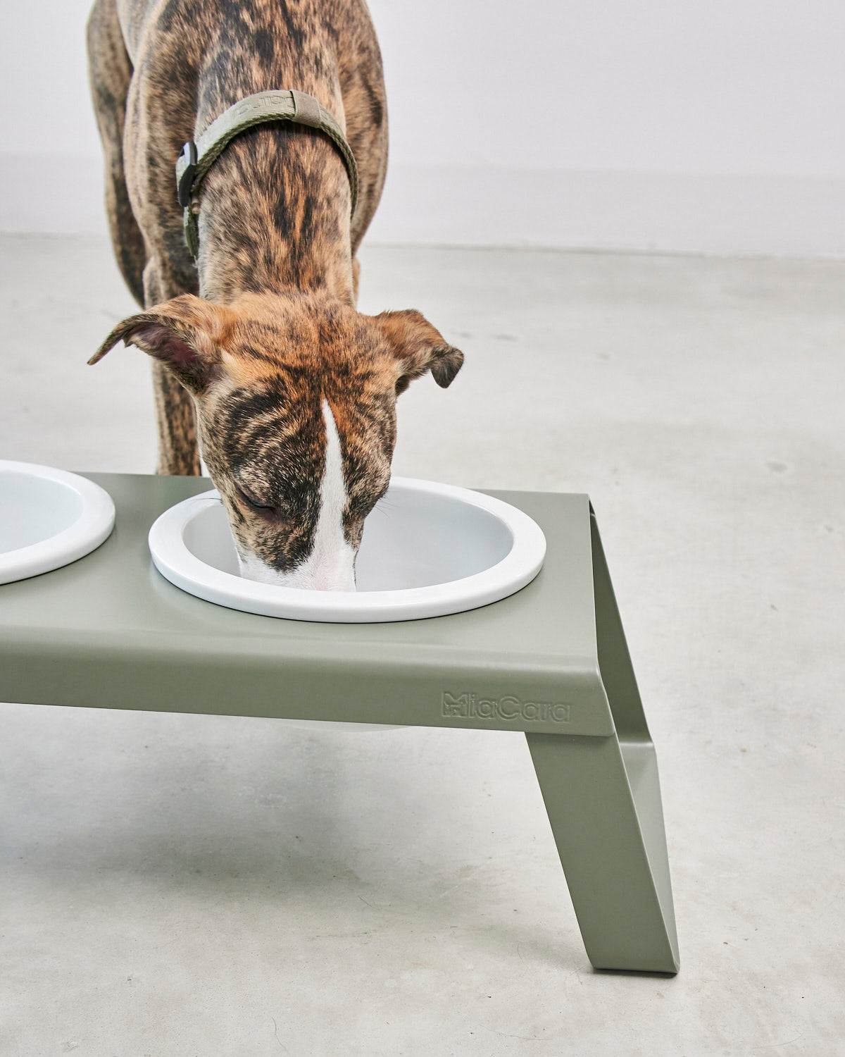 מעמד קערות מוגבה לכלב