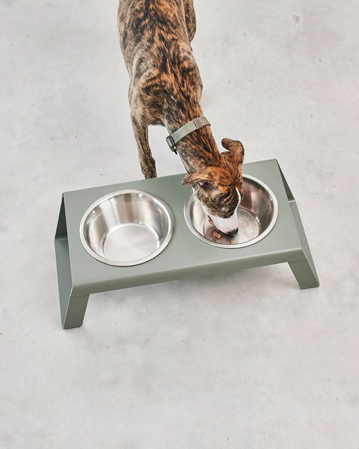 DESCO ALU | מעמד קערות מוגבה לכלב