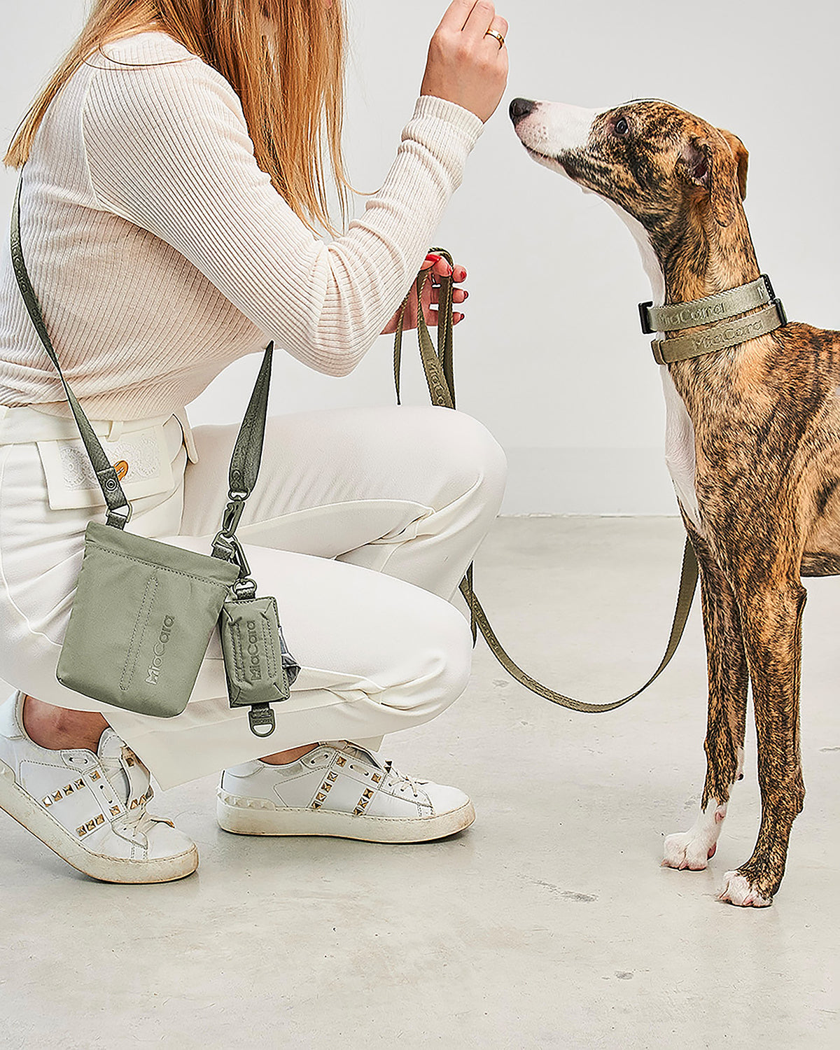 GUSTO TREAT BAG | נרתיק חטיפים לכלב